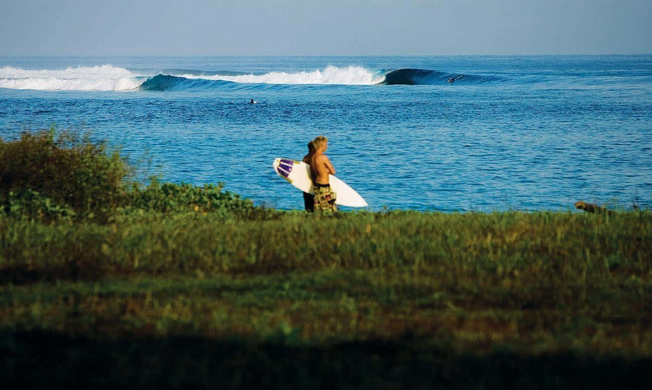 surfing 桌布 壁紙 — 一名衝浪者站在長滿草的懸崖上，拿著一塊衝浪板，在晴朗的天空下，海浪翻滾著。