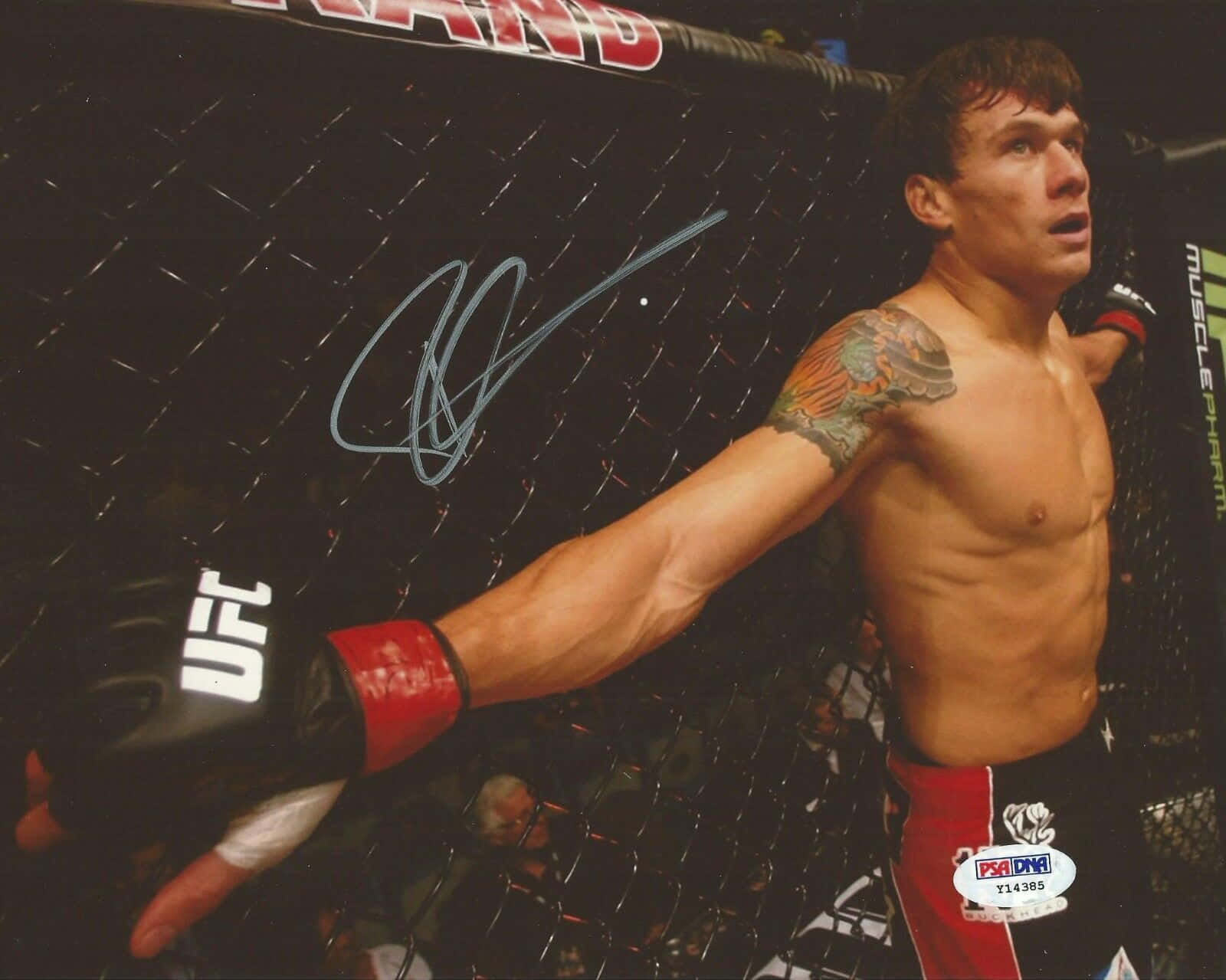 UFC 桌布 壁紙 — 一名赤裸上身的戰士，手臂上有刺青，戴著紅黑手套靠在UFC八角籠上。