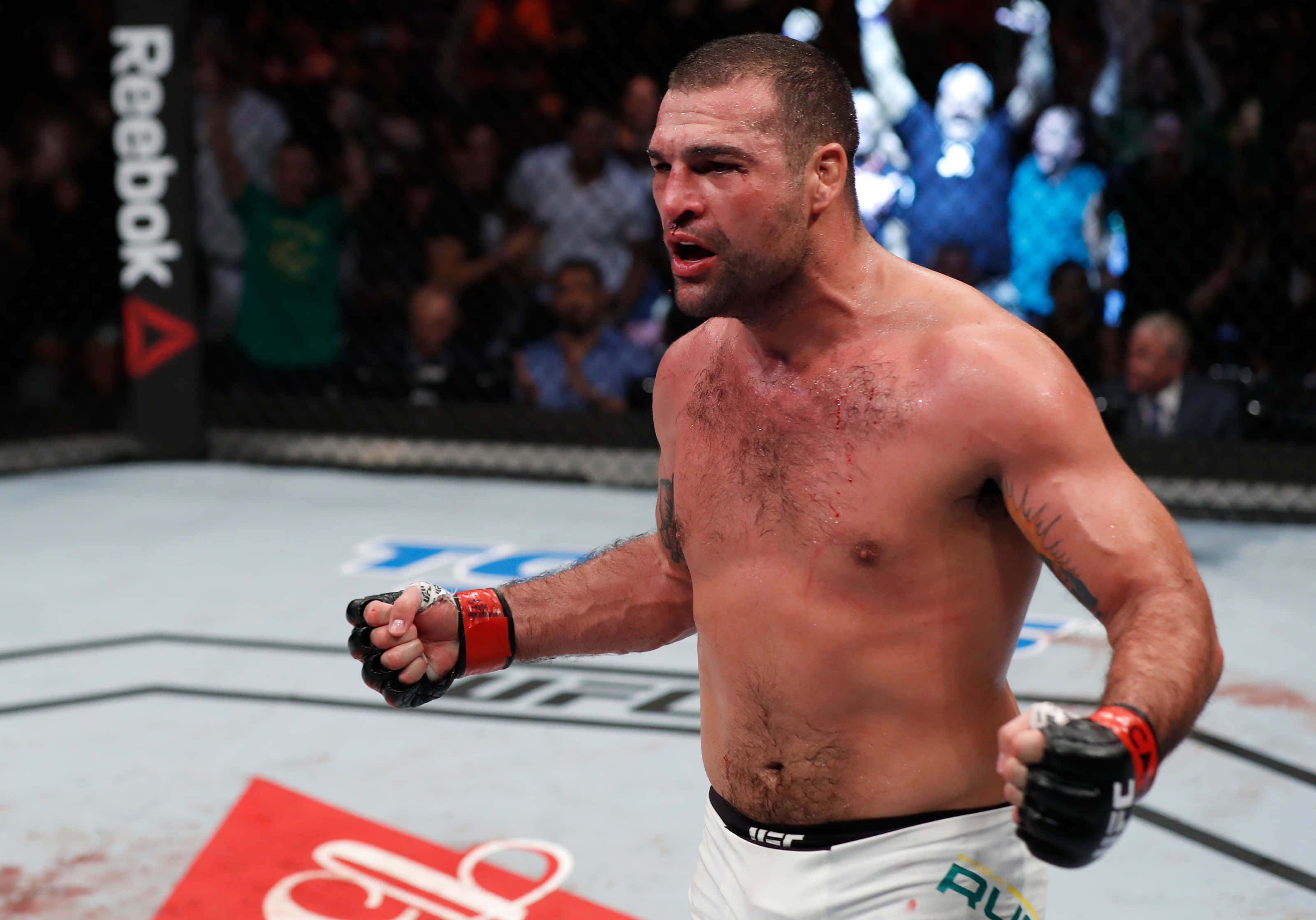 Champion 桌布 壁紙 — 一名赤裸上身的戰士，身上有血跡斑斑的軀幹和紋身手臂，在UFC八角籠內慶祝，背景是咆哮的粉絲。