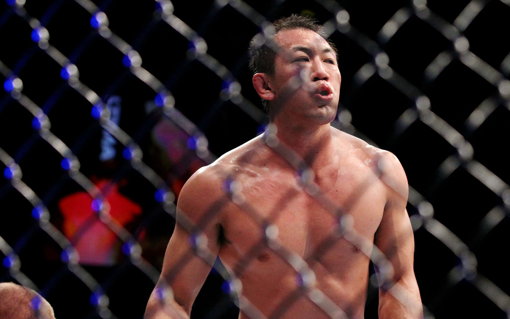 UFC 桌布 壁紙 — 一名赤裸上身的拳手在綜合格鬥比賽中，於場館燈光下透過鐵絲網圍欄沉重地呼吸。