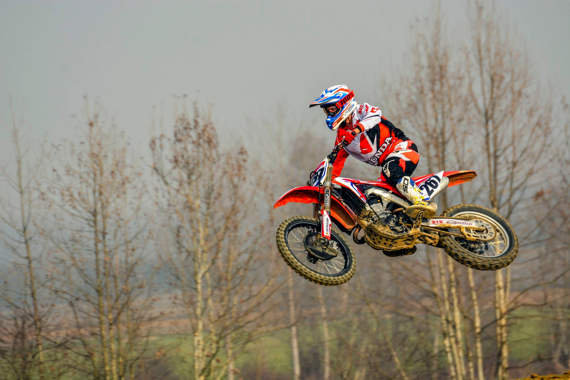 Motocross 桌布 壁紙 — 一名越野摩托車手在紅色泥地摩托車上飛越空中，背景是光禿的樹木和朦朧的天空。