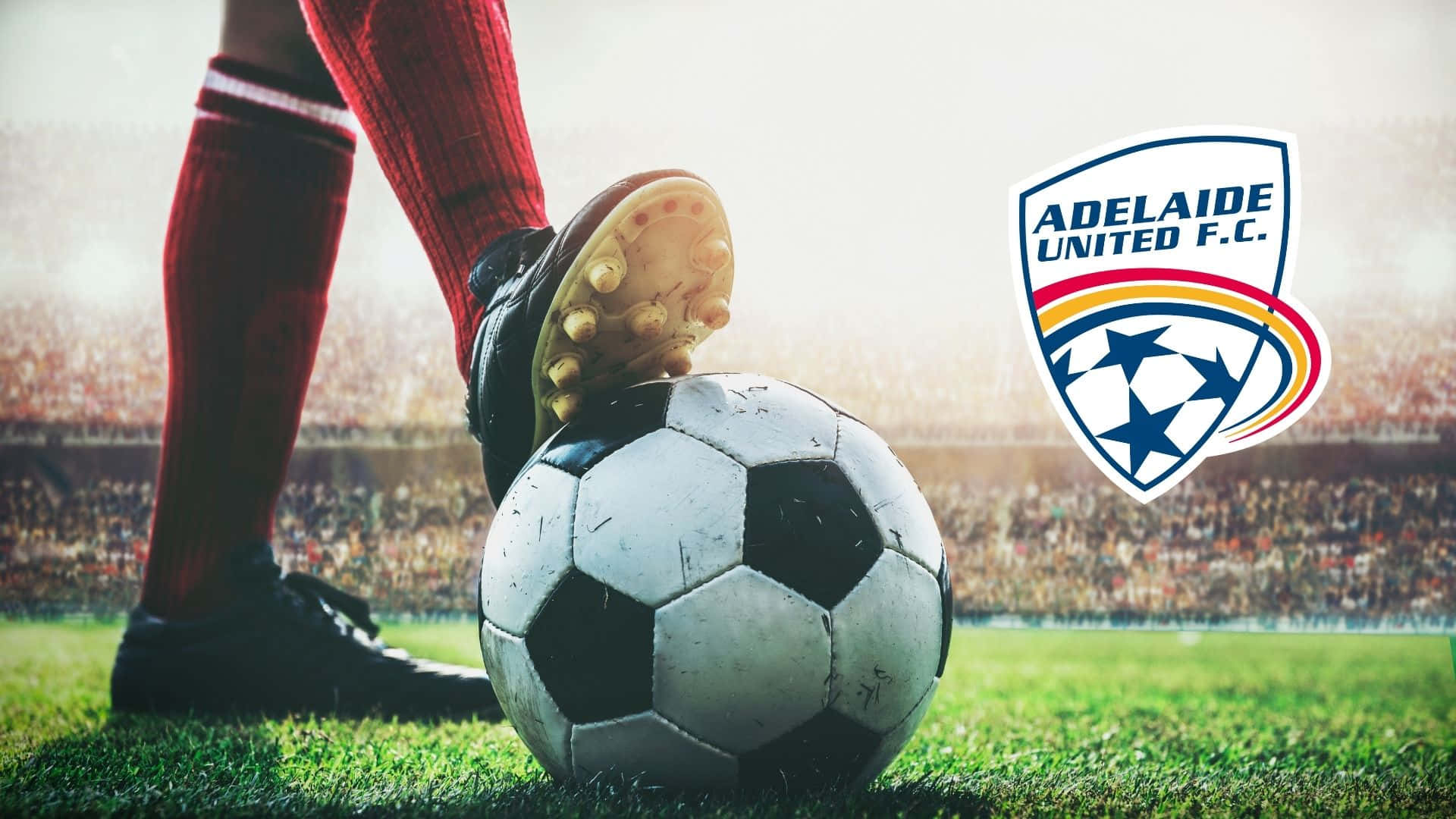Adelaide United 桌布 壁紙 — 一名足球員的球鞋準備踢一個磨損的球，在陽光照耀的球場上，背景有阿德萊德聯足球會標誌和體育場人群。