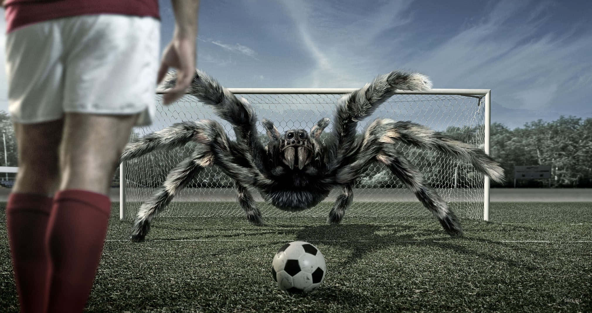 Funny Fantasy Football 桌布 壁紙 — 一名足球運動員在草地上面對一隻巨大的毛茸茸狼蛛守護著球門，腳邊有球。