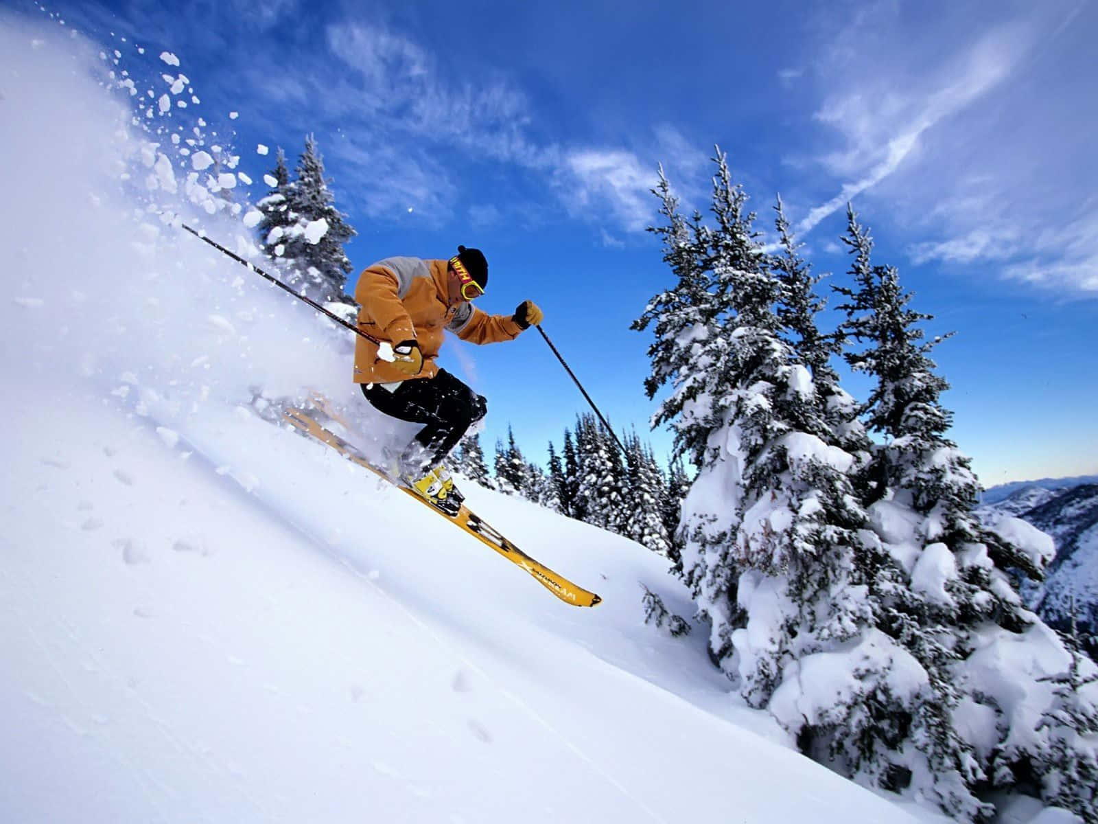 Winter Sports 桌布 壁紙 — 一名身穿亮橙色外套的滑雪者，在晴朗藍天下，於陽光明媚的山坡上，穿過被雪覆蓋的常綠樹木之間的新鮮粉雪。