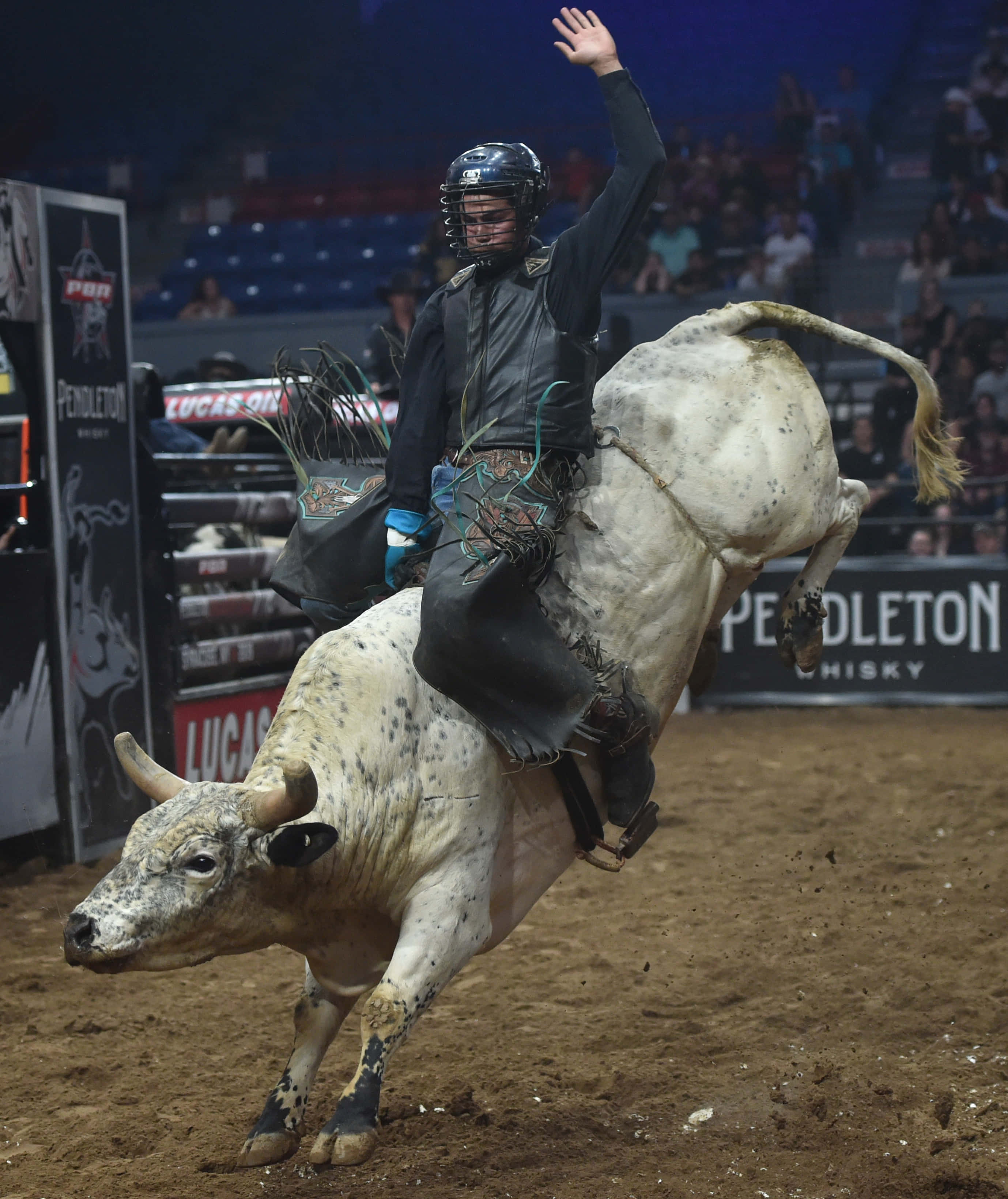 Bull Riding 桌布 壁紙 — 一名身穿保護裝備的鬥牛騎士在明亮的燈光下，於牛仔競技場中勝利地揮手，而一頭斑點公牛則狂野地亂踢。