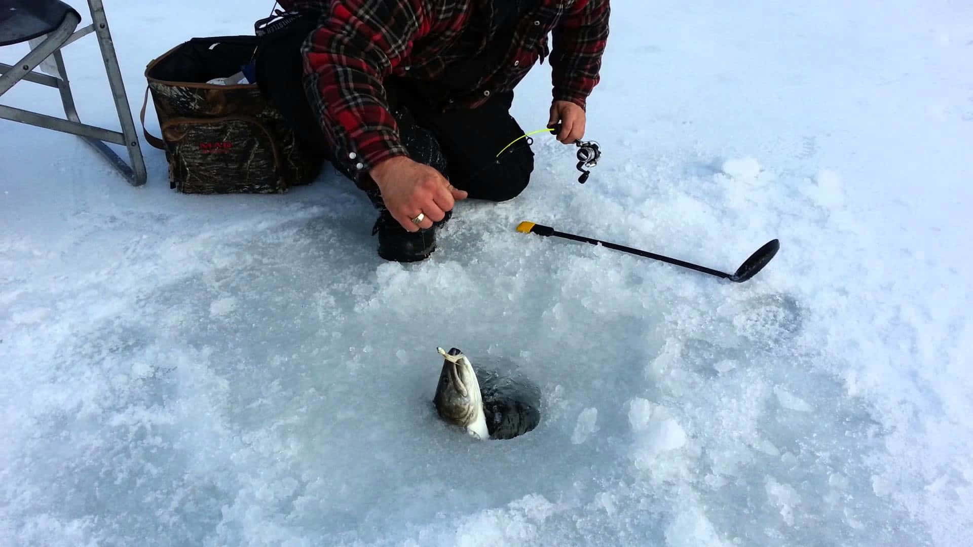 Ice Fishing 桌布 壁紙 — 一名身穿格紋襯衫的漁夫跪在積雪冰面上，一條大魚從他剛捕獲的洞中躍出。