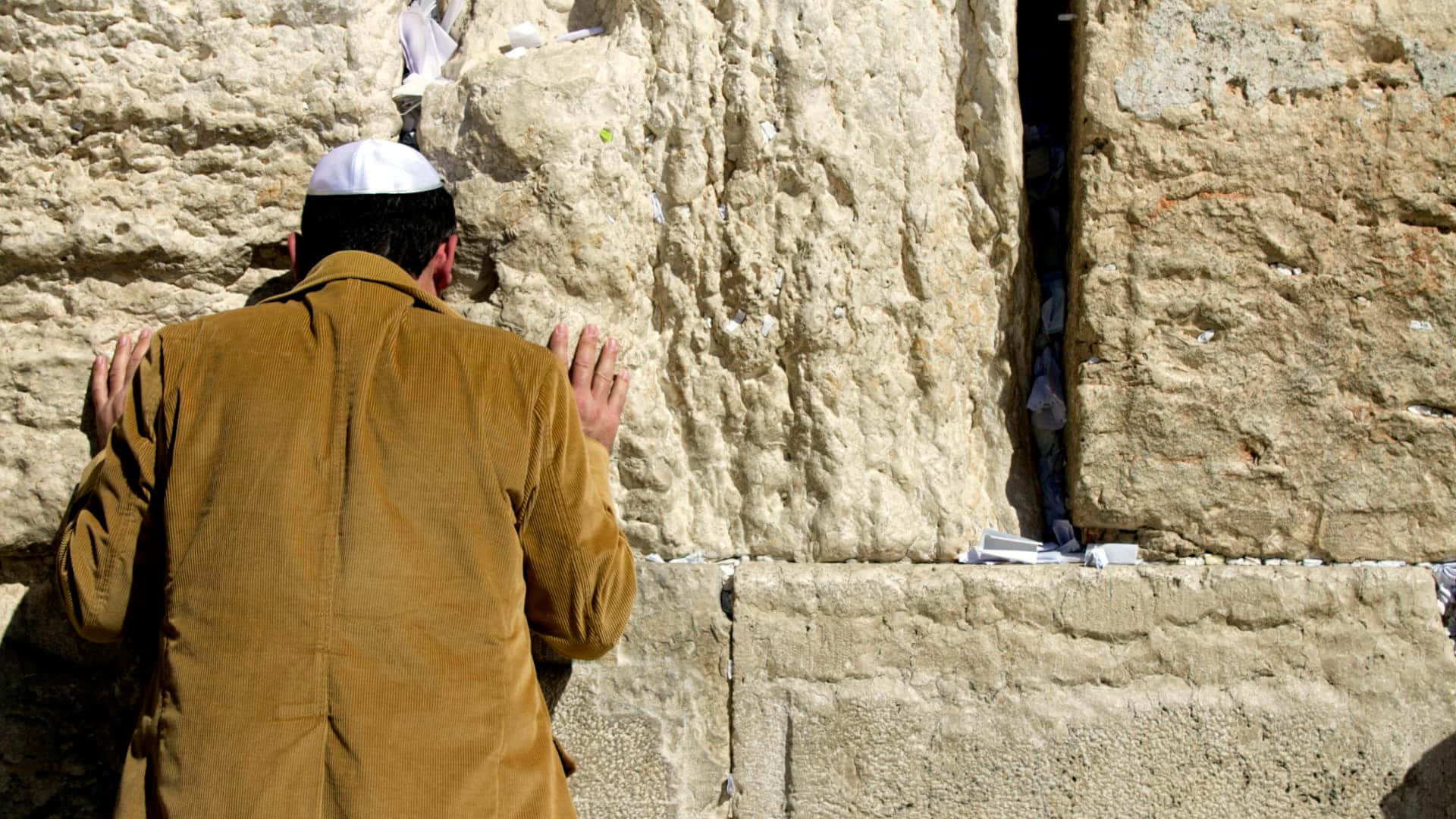 wall 桌布 壁紙 — 一名身穿棕色外套和白色基帕的男子在明亮的陽光下，將雙手按在耶路撒冷古老的西牆上。