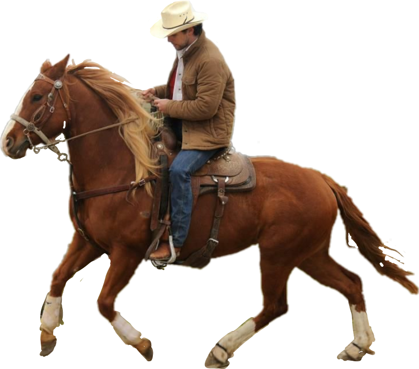 Horse Riding 桌布 壁紙 — 一名身穿棕褐色外套、戴白色帽子的牛仔，騎著一匹有白色襪子的栗色馬，背景為黑色。