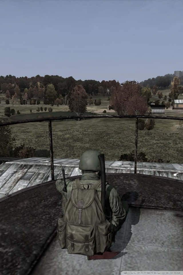 iPhone Xs Dayz 桌布 壁紙 — 一名身穿橄欖色裝備的士兵蹲在生鏽的屋頂上，俯瞰著蒼白天空下一個寧靜的秋日田野，田野上散落著樹木。