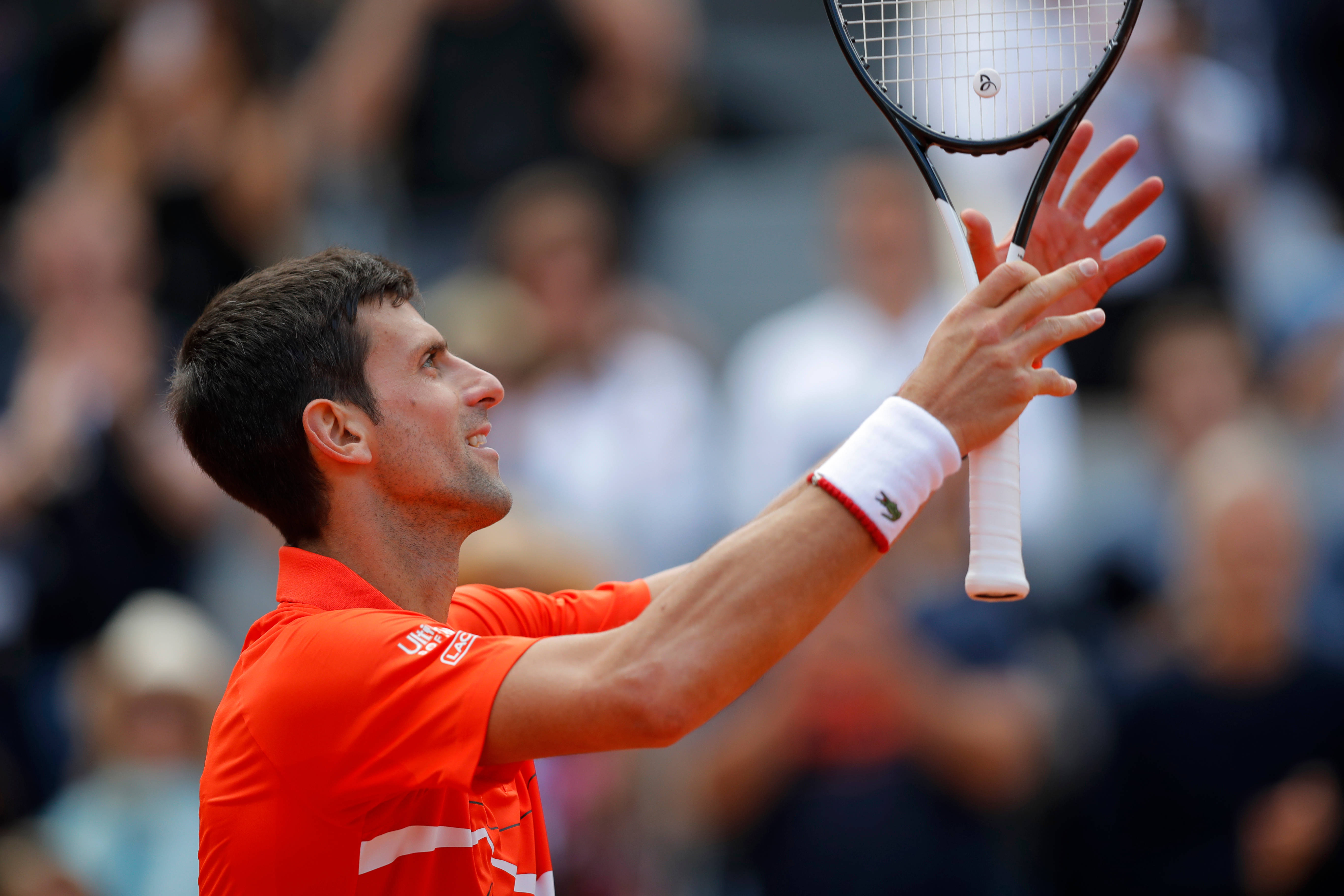 Novak 桌布 壁紙 — 一名身穿橙色球衣的網球選手高舉球拍慶祝勝利，背景觀眾歡呼。