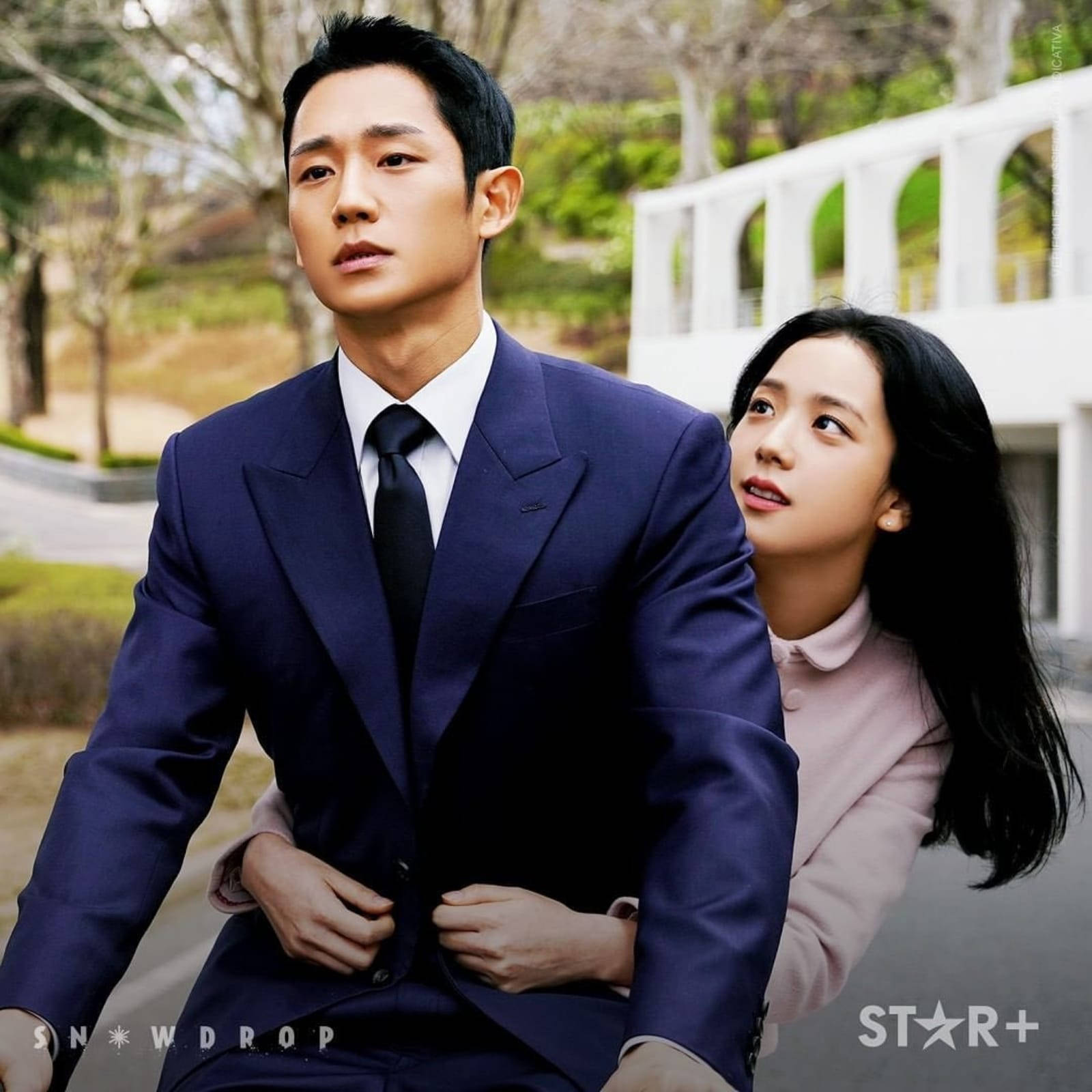 drama 桌布 壁紙 — 一名身穿海軍藍西裝的男子和一名身穿粉紅色外套的女子在公園裡靠近站立，背景是光禿禿的樹木和一座白色拱橋。