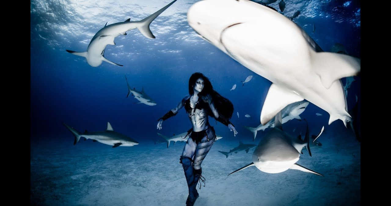 Mermaid Real Life 桌布 壁紙 — 一名身穿深色衣服的女性在深藍色海洋中平靜地游過多條鯊魚。
