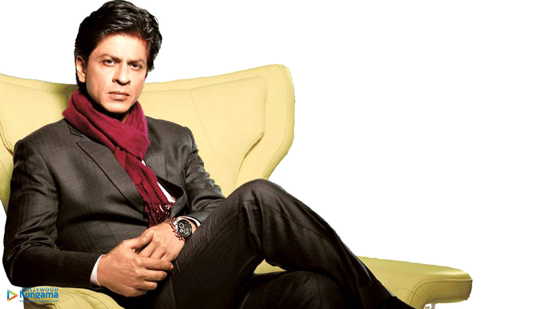 Shahrukh 桌布 壁紙 — 一名身穿深色西裝和紅色圍巾的男子自信地坐在黃色椅子上，背景是純白色。