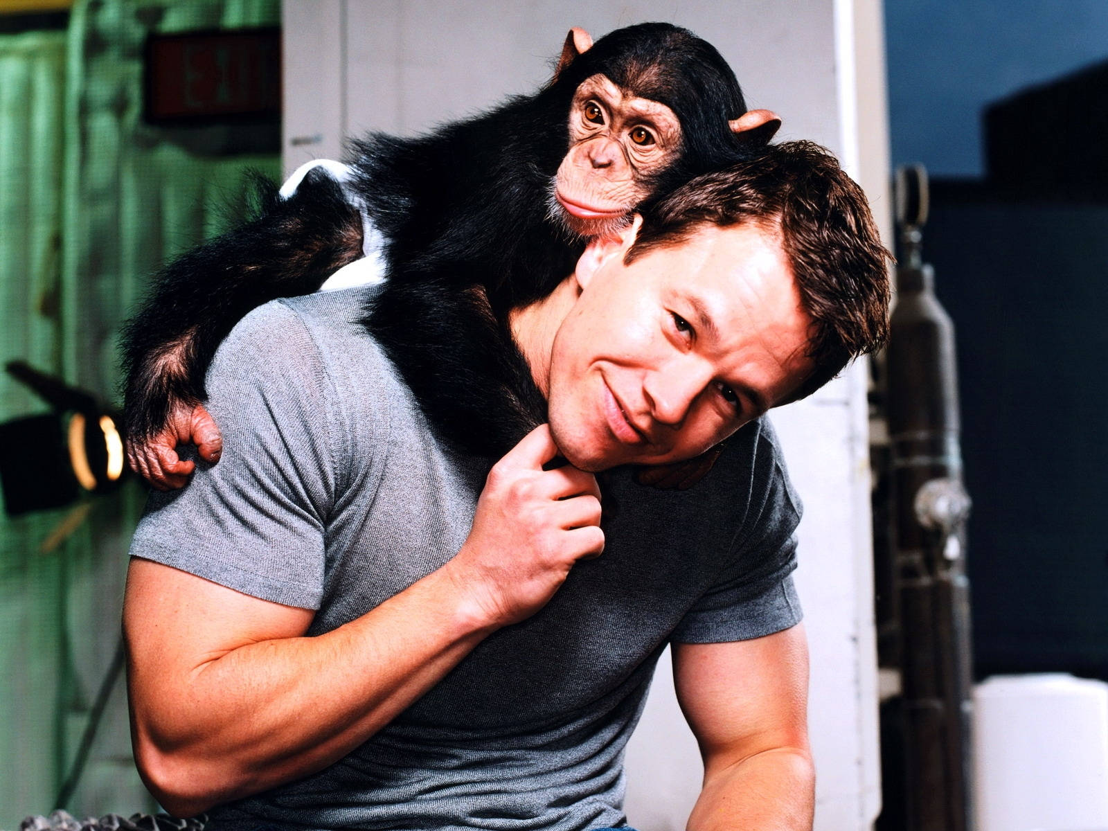 Mark Wahlberg 桌布 壁紙 — 一名身穿灰色T恤的男子溫暖地微笑，一隻小黑猩猩頑皮地棲息在他的肩膀上，場景在柔和光線的室內環境中。
