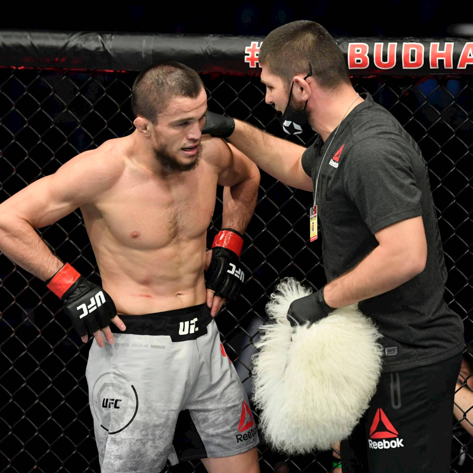 UFC 桌布 壁紙 — 一名身穿灰色短褲的UFC拳手站在八角籠內，他的教練正用一條蓬鬆的白毛巾擦拭他額頭上的汗水。