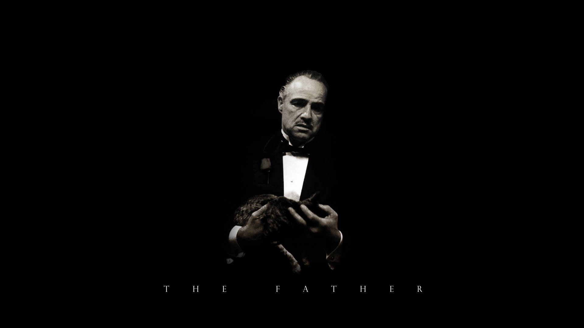 Godfather 桌布 壁紙 — 一名身穿燕尾服的男人在黑色背景前抱著一隻貓，下方有THE FATHER字樣。
