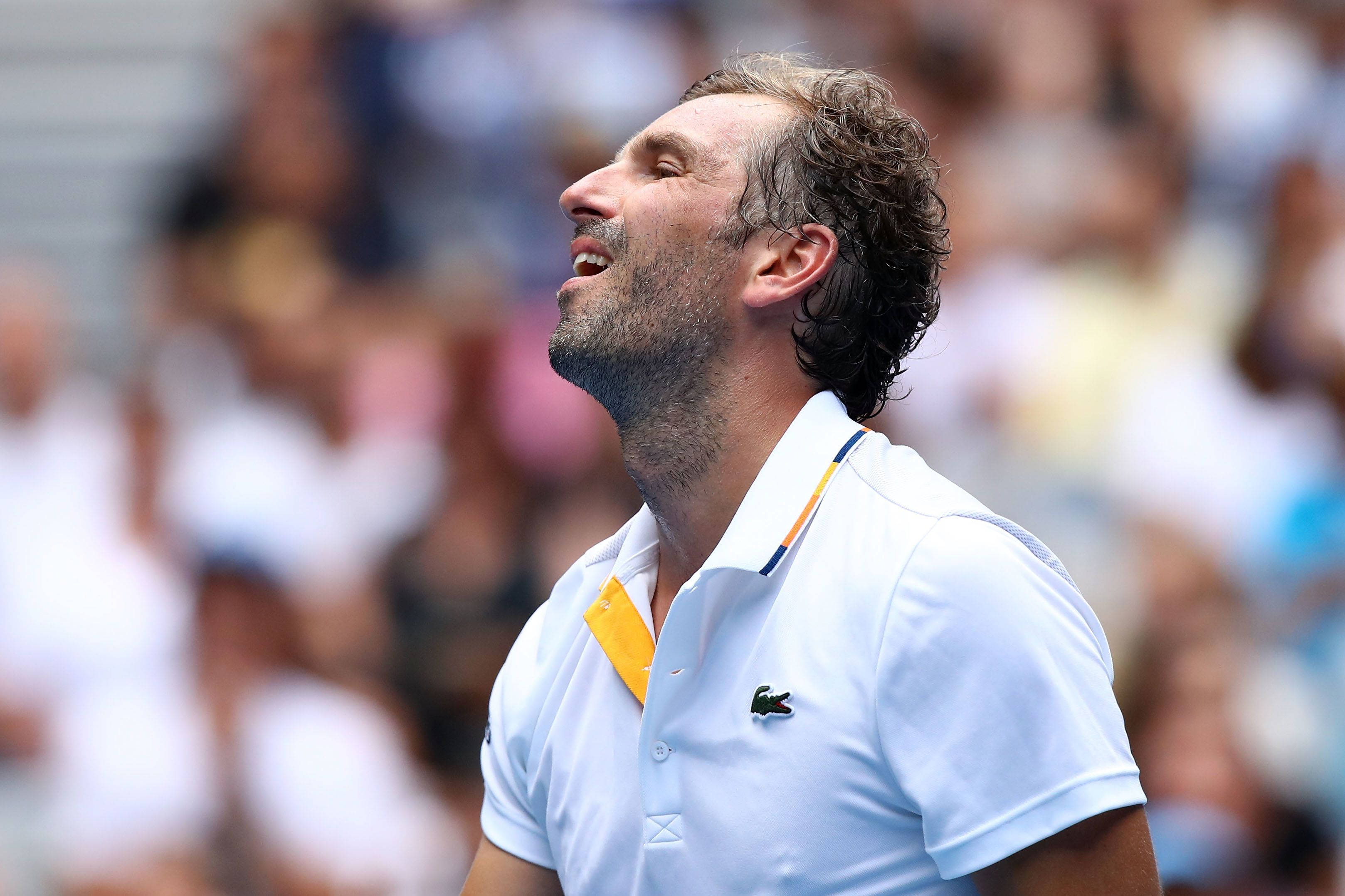Tennis 桌布 壁紙 — 一名身穿白色Polo衫、黃色衣領的男網球選手在陽光普照的球場上仰頭向天大喊。