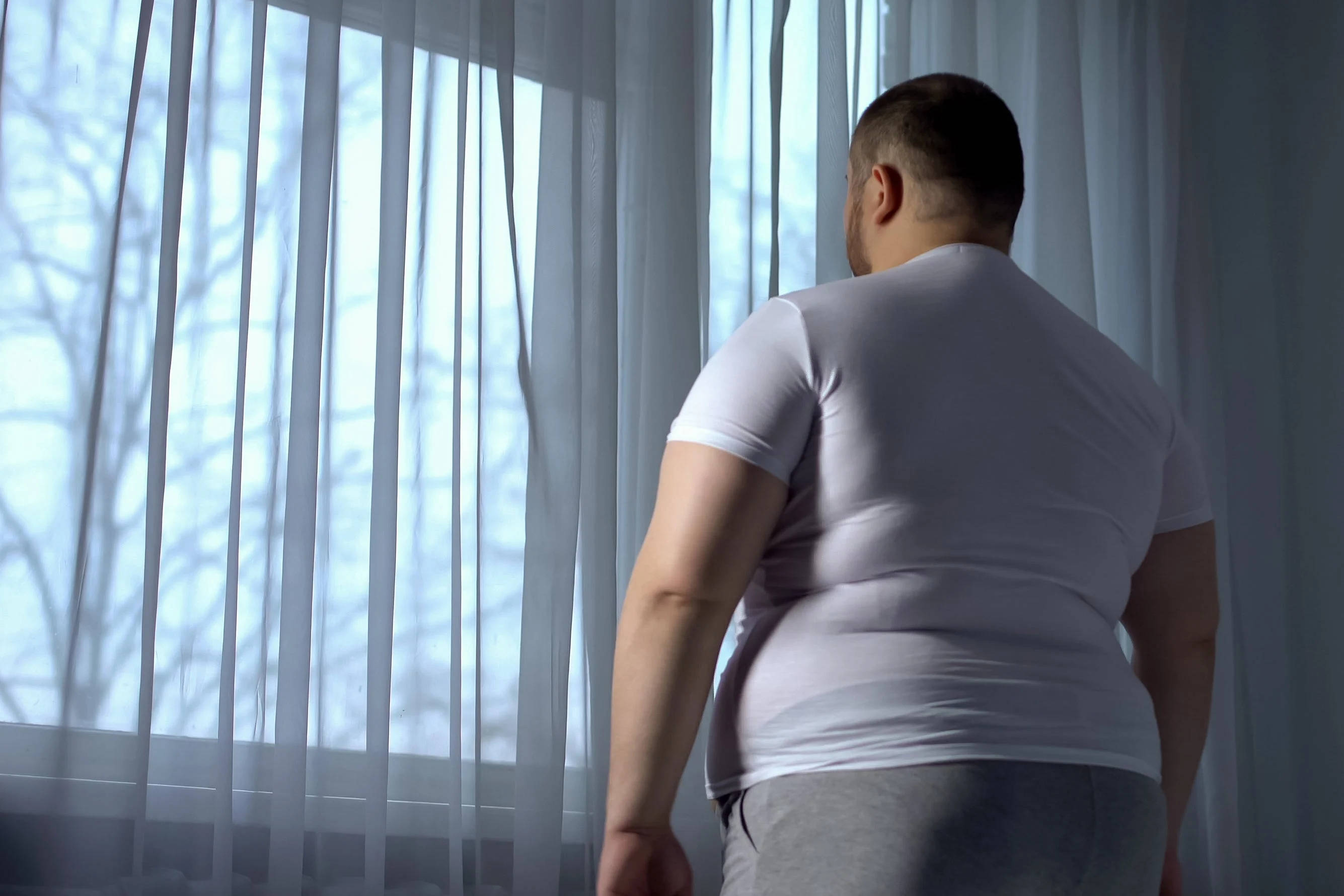 fat 桌布 壁紙 — 一名身穿白色T恤的男子背對鏡頭站著，凝視著窗外，窗戶由薄窗簾框住，外面可見光禿禿的樹枝。