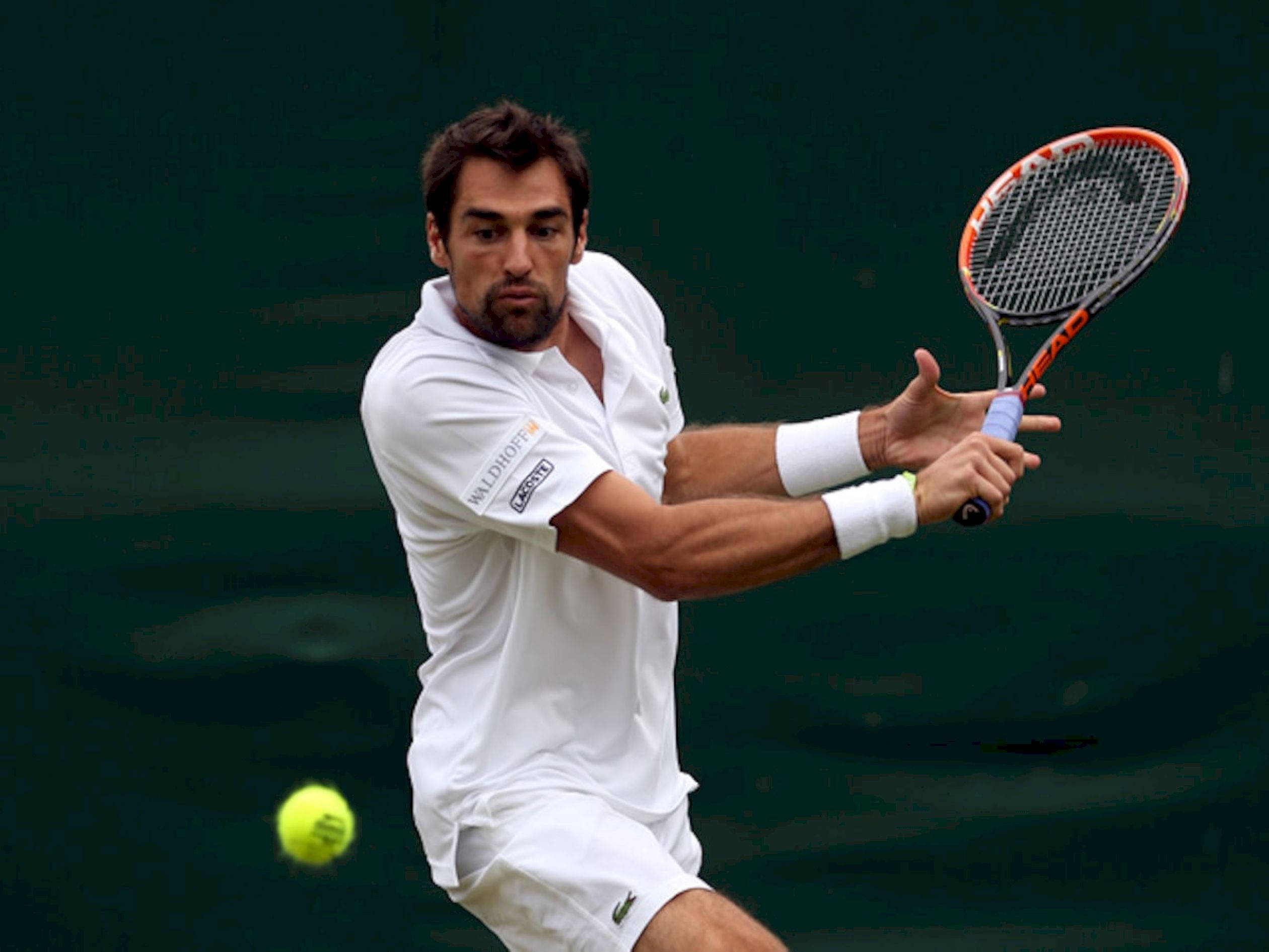 Tennis 桌布 壁紙 — 一名身穿白色服裝的男性網球運動員在深綠色背景下揮拍擊打黃色球。