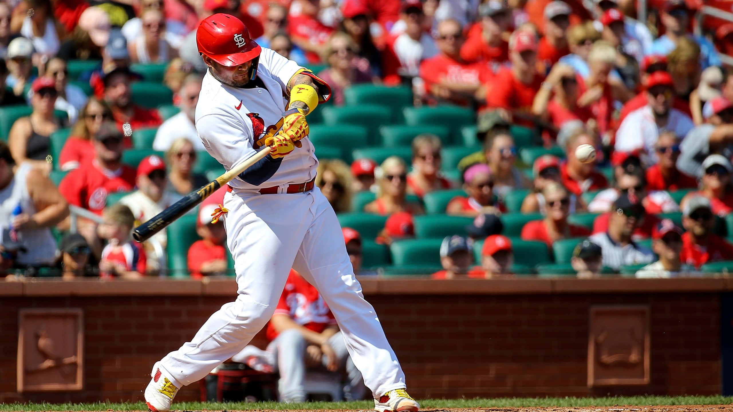 Yadier Molina 桌布 壁紙 — 一名身穿白色球衣的棒球選手正在揮棒，身後有一群坐在紅色座位上的球迷。