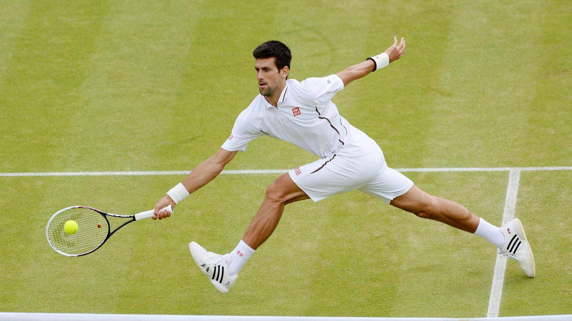 Wimbledon 桌布 壁紙 — 一名身穿白色球衣的男網球運動員在草地場上動態地撲向黃色球。