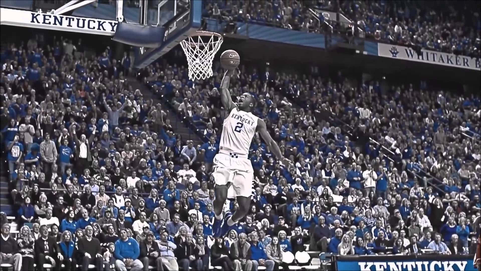 Kentucky Basketball 桌布 壁紙 — 一名身穿白色肯塔基球衣的籃球運動員在半空中灌籃，藍色的人群在場館中歡呼。