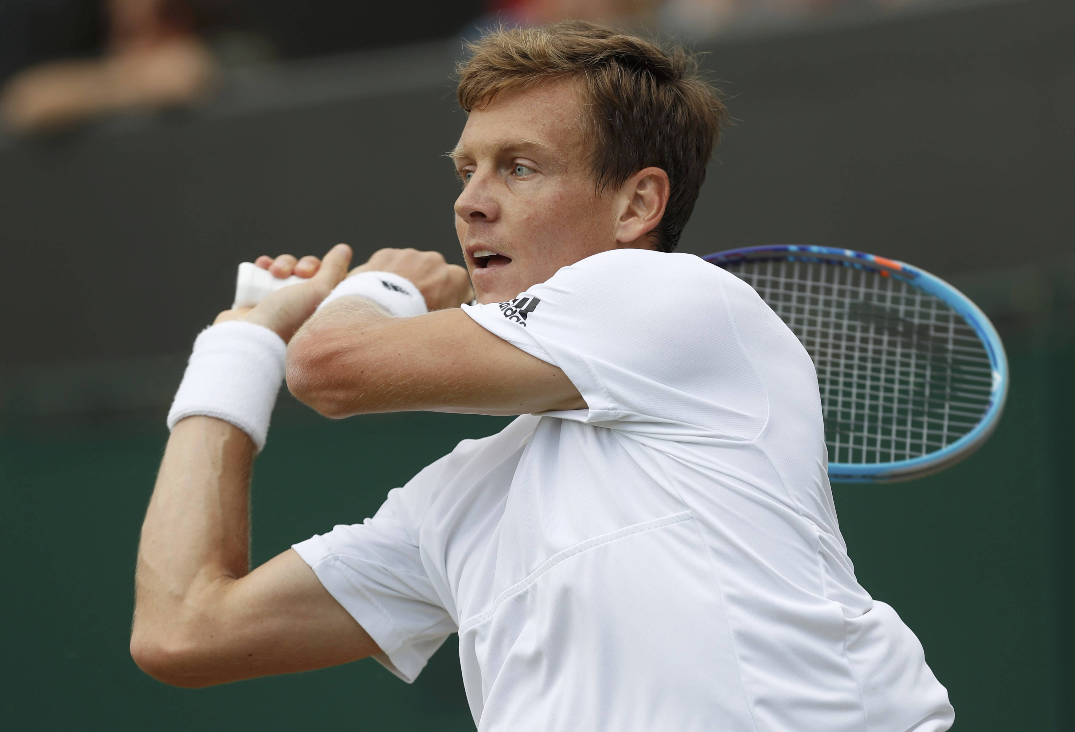 Tennis 桌布 壁紙 — 一名身穿白色裝備的男網球選手在草地場上以高度專注力執行強力的反手揮拍。