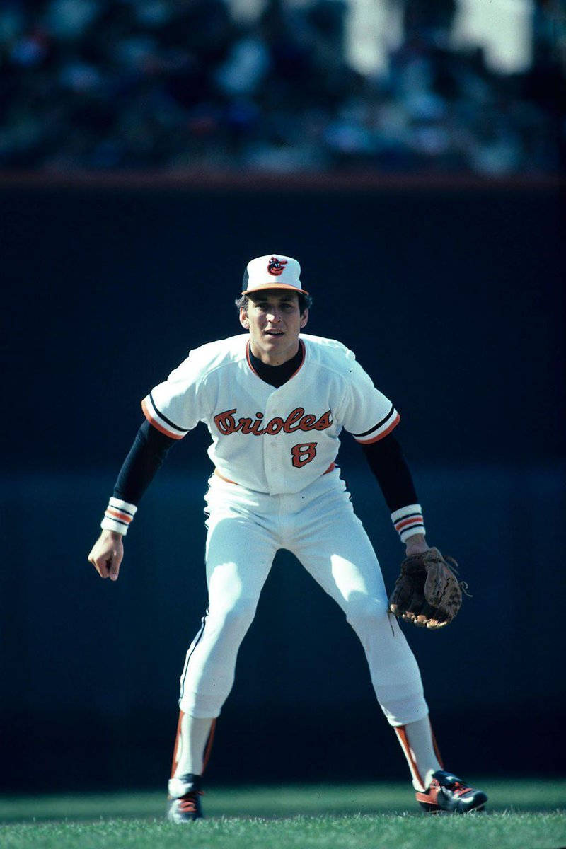 cal ripken jr 桌布 壁紙 — 一名身穿白色金鶯隊球衣、背號8的棒球選手，戴著手套在陽光明媚的球場上準備就緒。