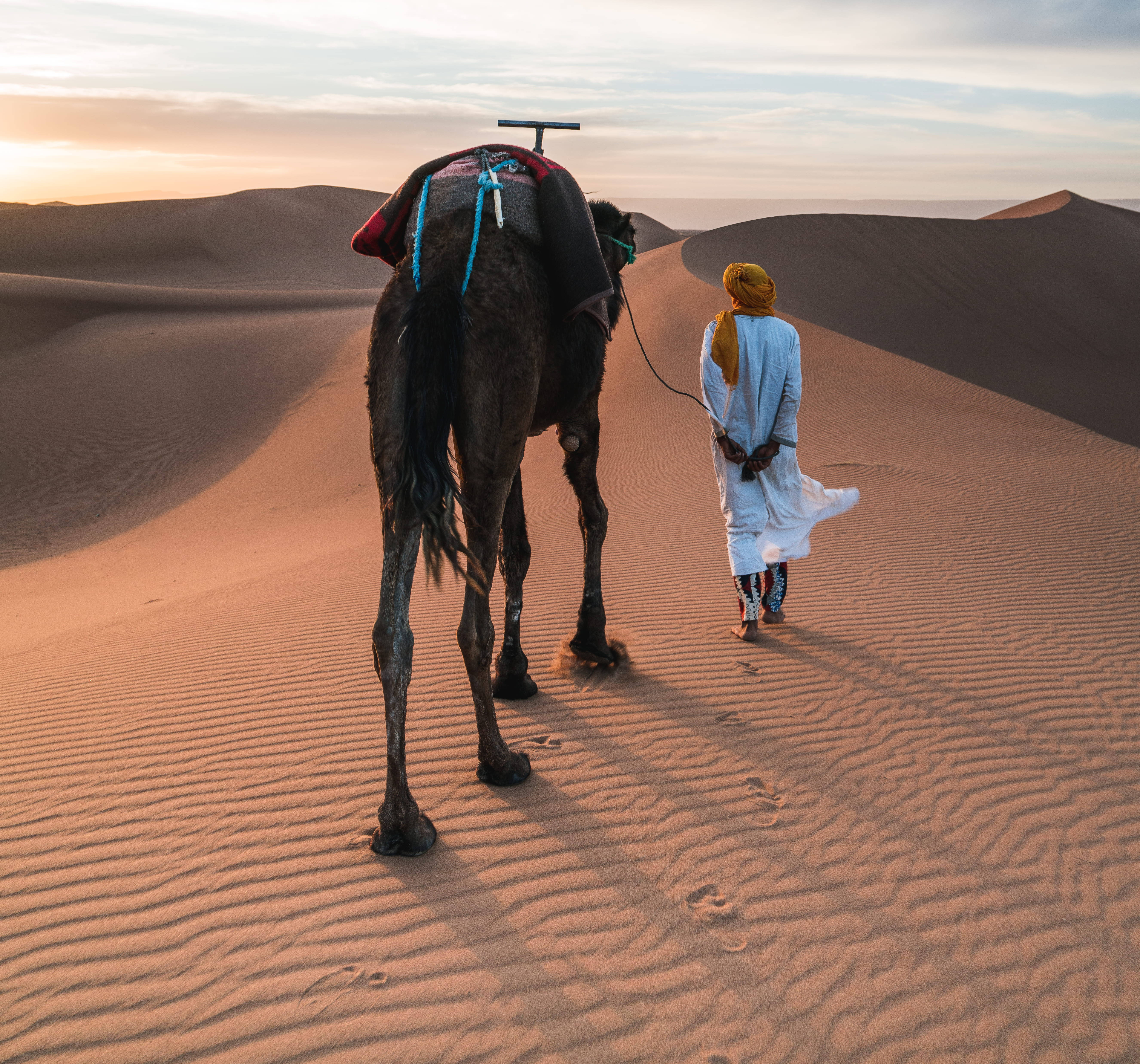 Morocco 桌布 壁紙 — 一名身穿白袍的人，在金色夕陽下牽著一匹備有鞍座的駱駝，走過波紋起伏的沙漠沙丘。