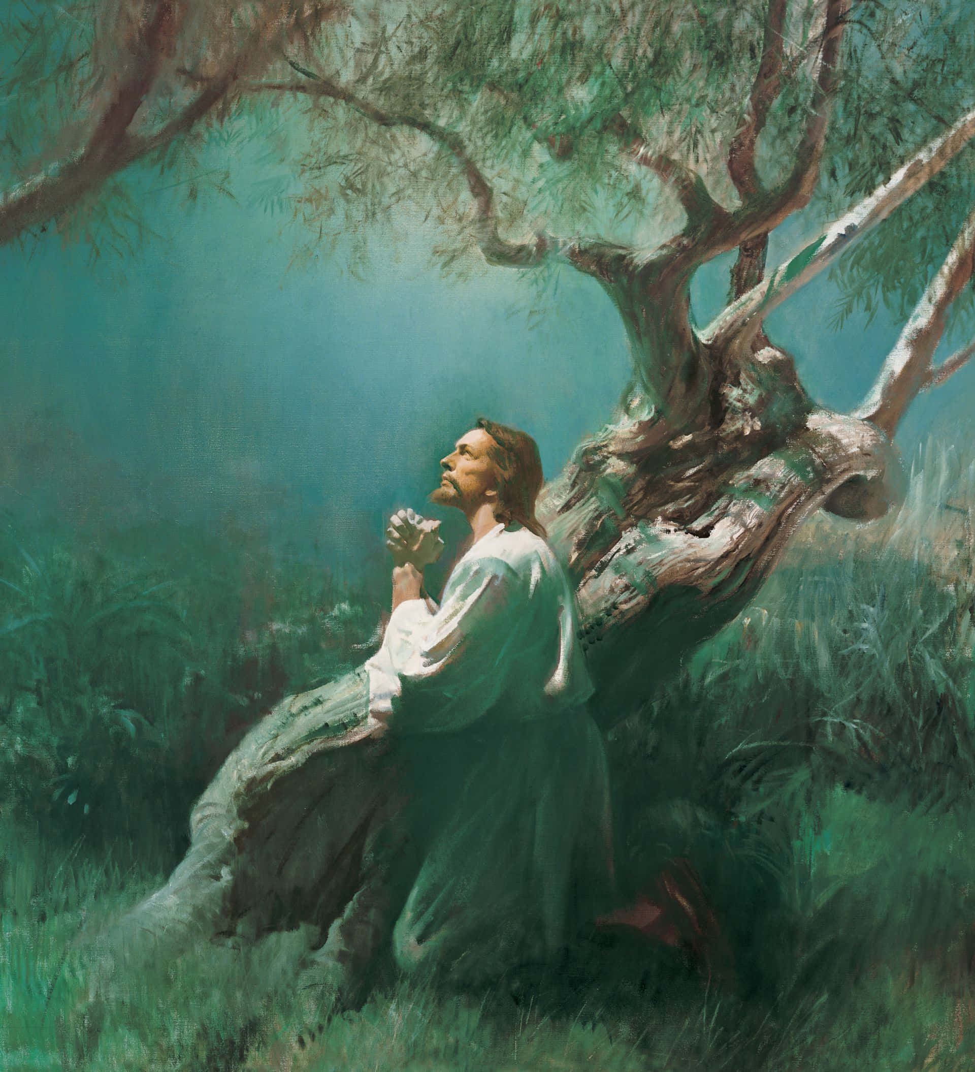 Jesus Praying 桌布 壁紙 — 一名身穿白袍的男子在霧氣瀰漫的綠色森林中，跪在一棵扭曲的樹下祈禱，沐浴在柔和的光線中。