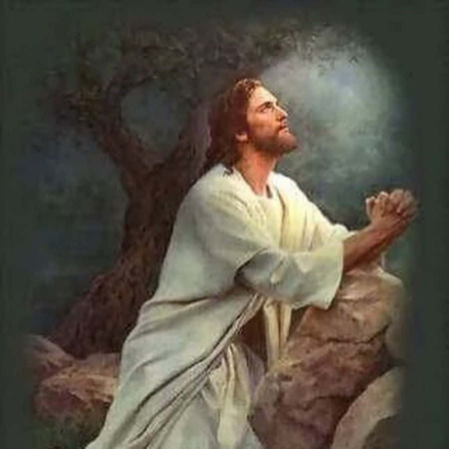 Jesus Praying 桌布 壁紙 — 一名身穿白袍的男子跪在岩石上，雙手合十，在閃爍的天光下，靠近一棵扭曲的樹祈禱。