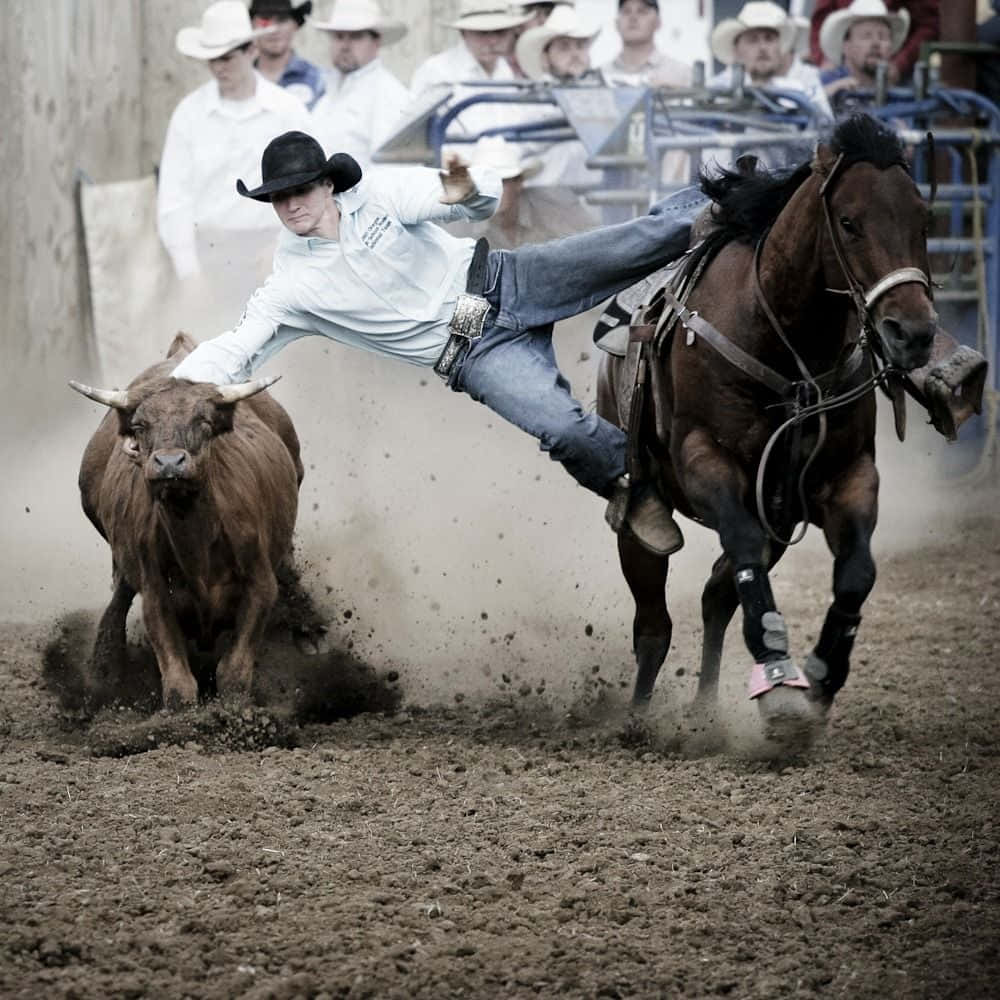 Cowboy 桌布 壁紙 — 一名身穿白襯衫、頭戴黑帽的牛仔，從一匹弓背跳躍的棕色馬匹上被拋出，與一頭衝撞的公牛在塵土飛揚的牛仔競技場中相撞。