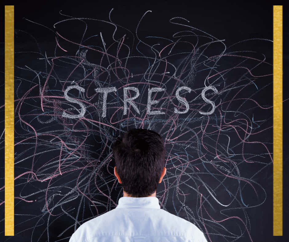 stressed 桌布 壁紙 — 一名身穿白襯衫的人站在黑板前，黑板上寫著「STRESS」一詞，周圍是混亂的塗鴉。