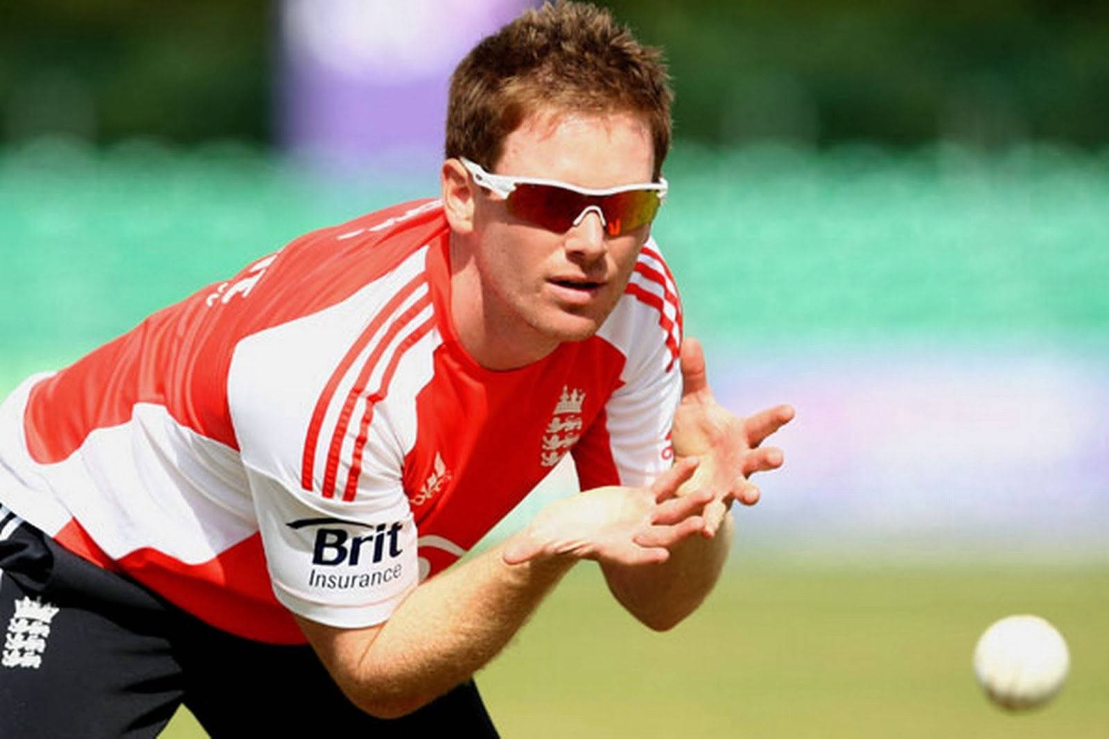 eoin morgan 桌布 壁紙 — 一名身穿紅白球衣的男性板球運動員在陽光明媚的綠色場地上向前撲身，在半空中接住一個球。