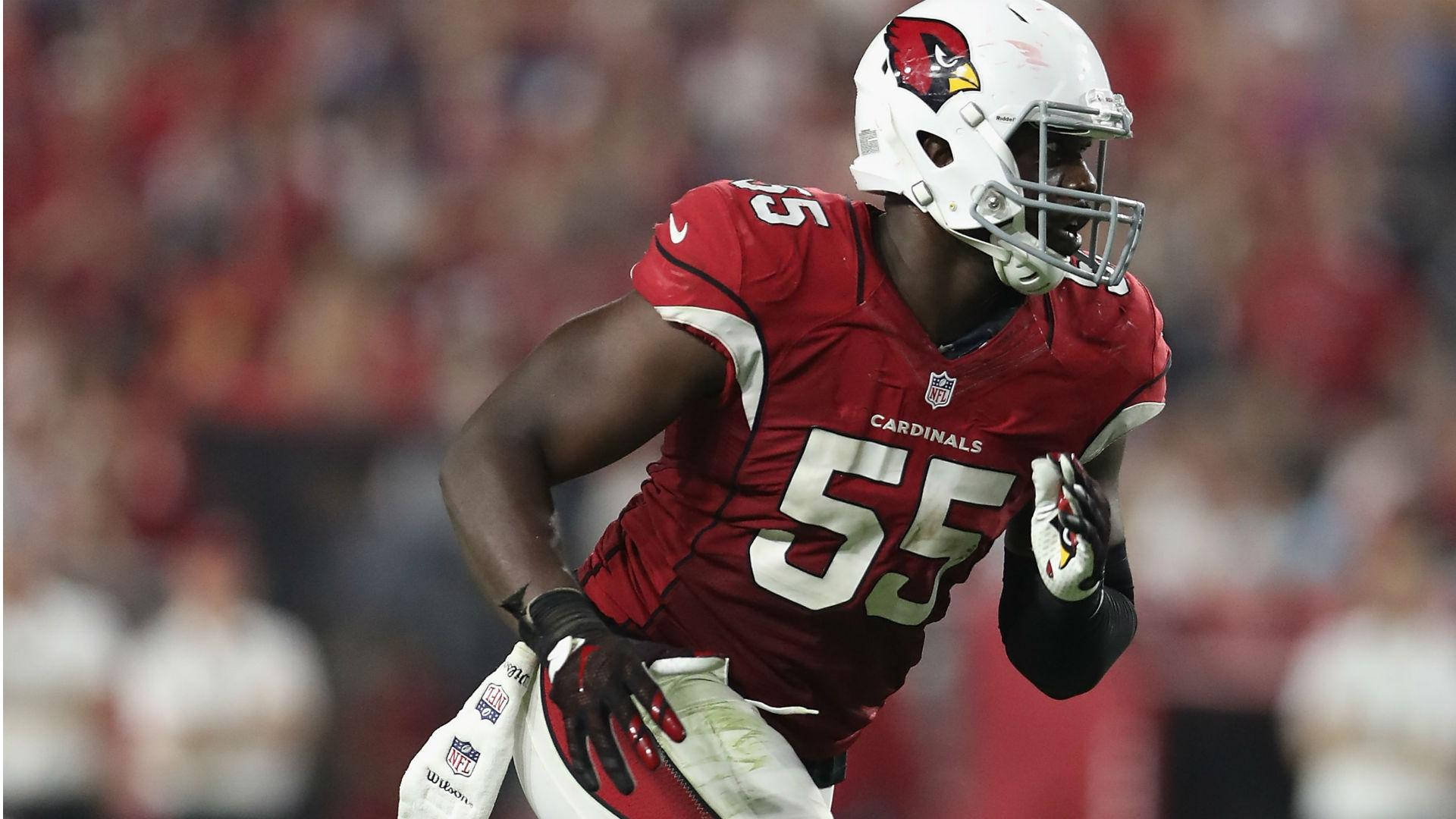 Arizona Cardinals 桌布 壁紙 — 一名身穿紅色 Cardinals 裝備的美式足球員在夜間比賽中動態衝刺，背後是模糊的球場燈光。