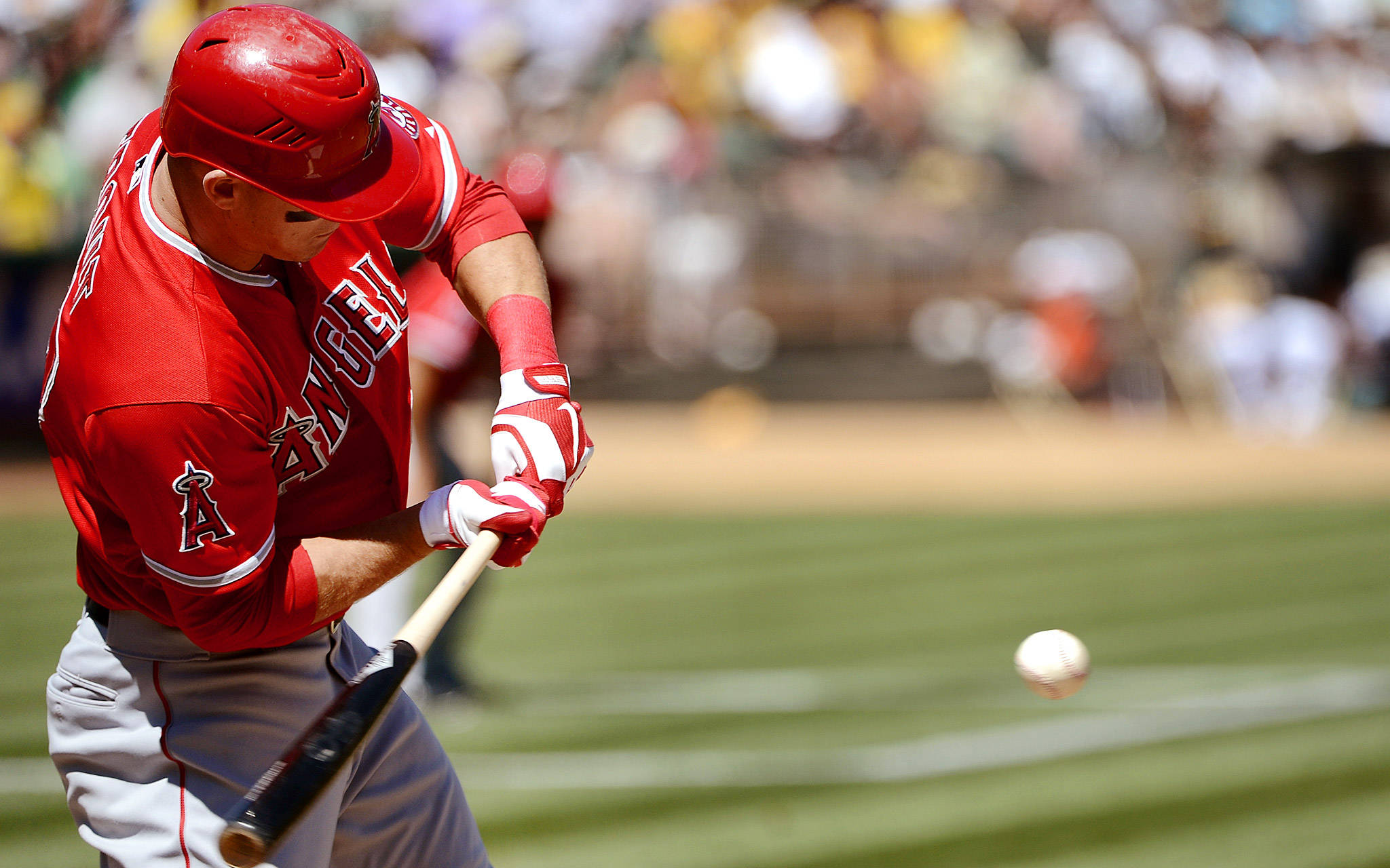 Mike Trout 桌布 壁紙 — 一名身穿紅色天使隊球衣的棒球選手在陽光明媚的球場上揮棒擊球，背景是模糊的人群。