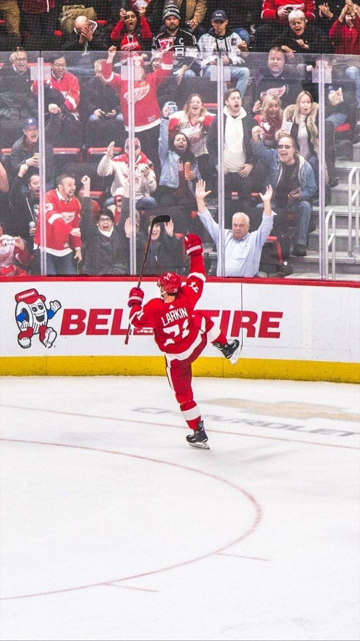 hockey 桌布 壁紙 — 一名身穿紅色球衣的冰球運動員在冰上慶祝進球，球迷在玻璃後瘋狂歡呼。
