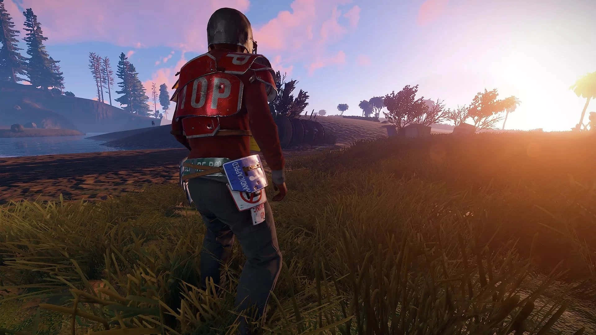 Rust 桌布 壁紙 — 一名身穿紅色盔甲的玩家站在高高的草叢中，面向湖面和森林覆蓋的山丘上閃耀的日落。