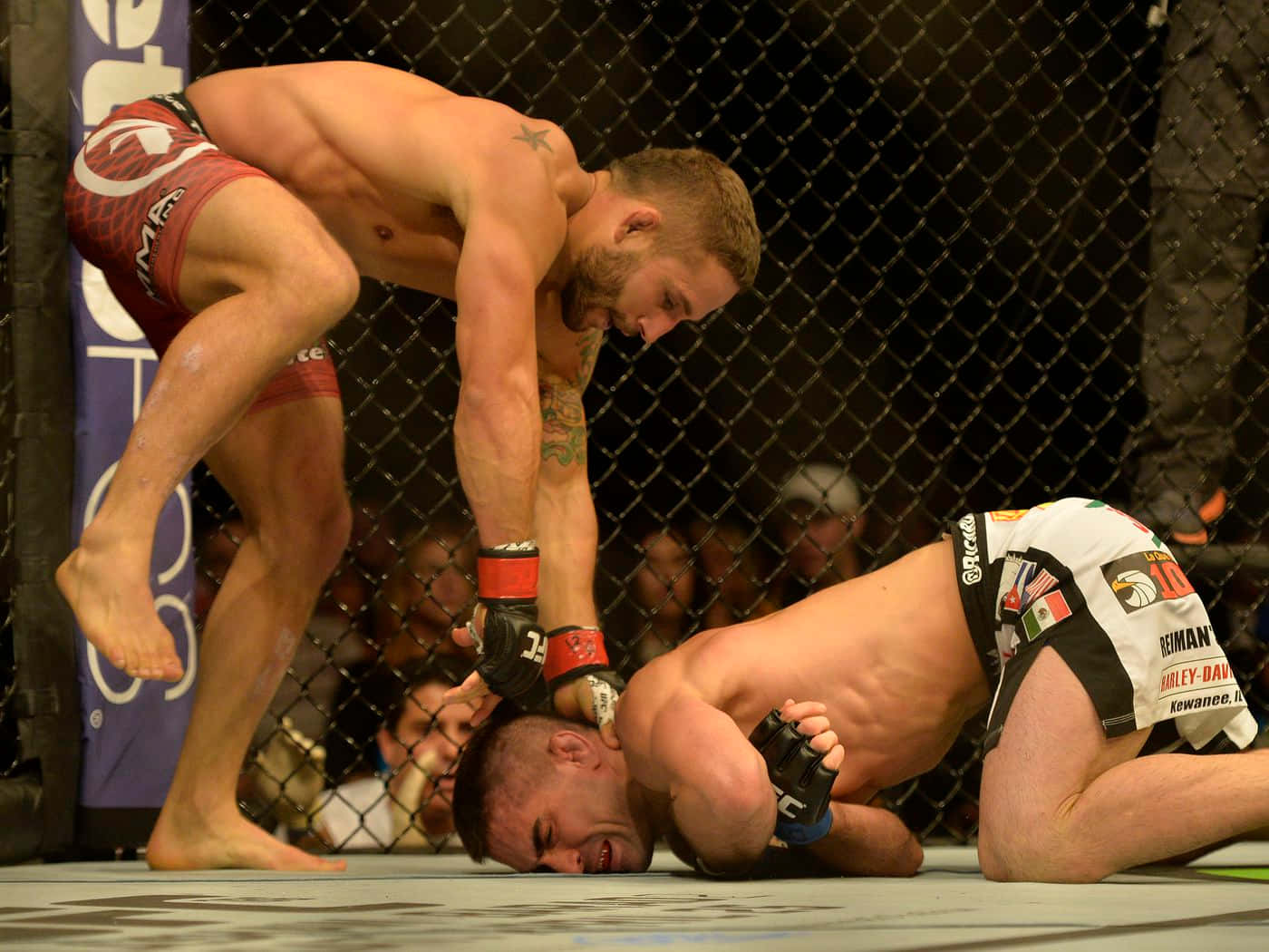 MMA 桌布 壁紙 — 一名身穿紅色短褲的拳手在UFC八角籠內於地面壓制對手。