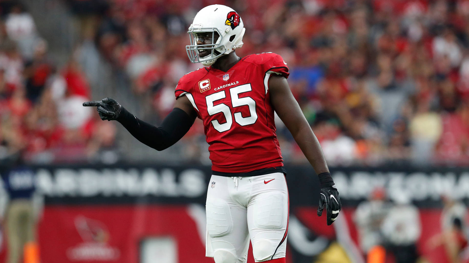 Arizona Cardinals 桌布 壁紙 — 一名身穿紅色紅雀隊55號球衣的足球運動員在比賽中自信地指向球場。