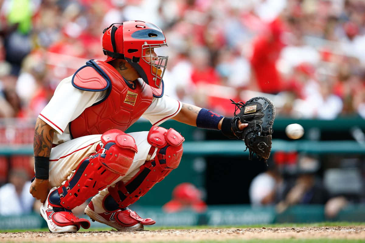 Yadier Molina 桌布 壁紙 — 一名身穿紅色裝備的棒球捕手在陽光明媚的球場上低蹲，一顆球正飛向他的手套。