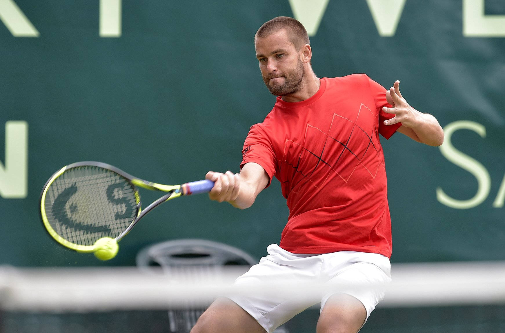 Tennis 桌布 壁紙 — 一名身穿紅色襯衫的男性網球運動員在綠色球場上揮拍擊打黃色球。
