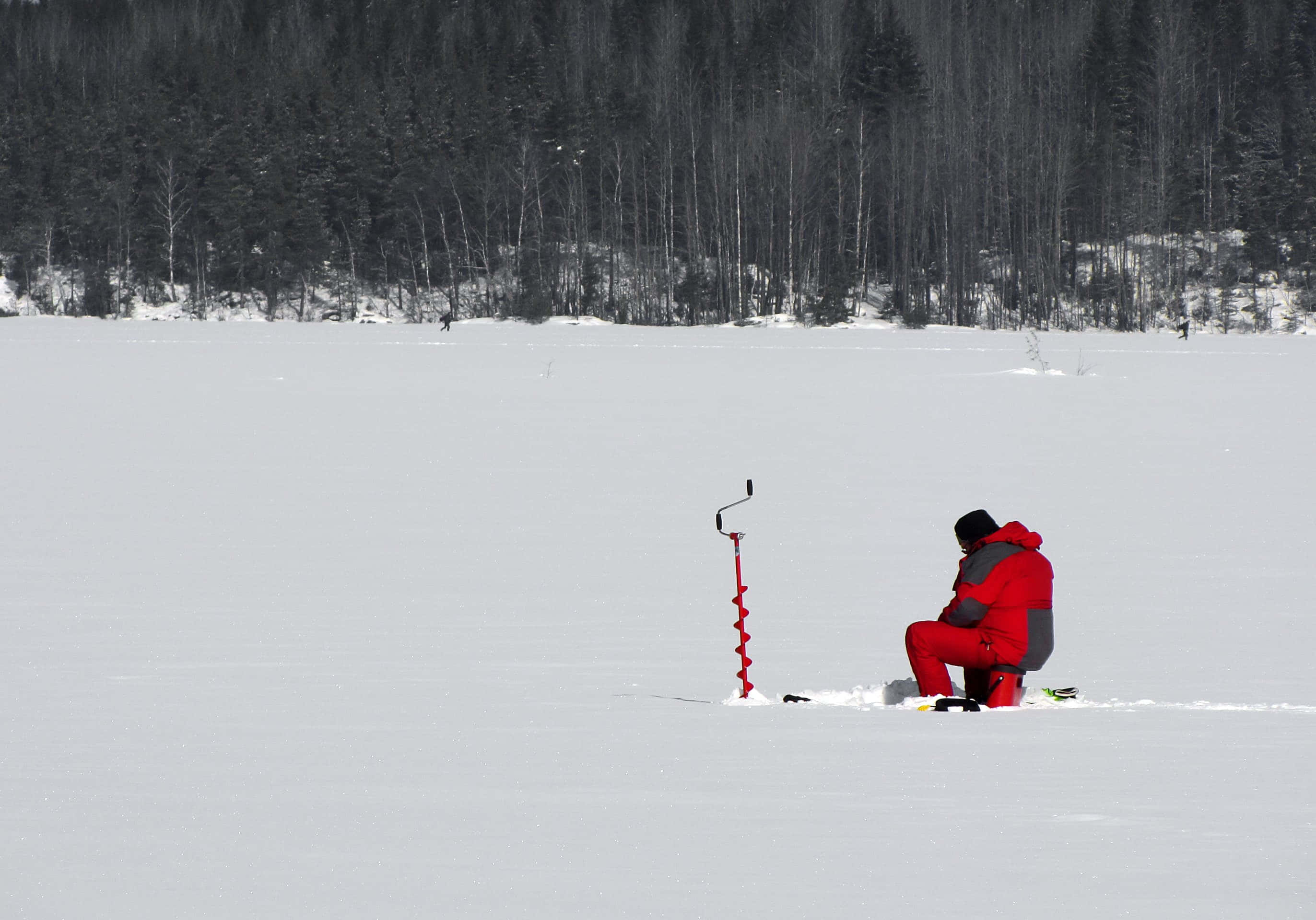 Ice Fishing 桌布 壁紙 — 一名身穿紅色雪衣的人跪在結冰的湖面上，使用冰鑽，背景是樹木繁茂的湖岸線。