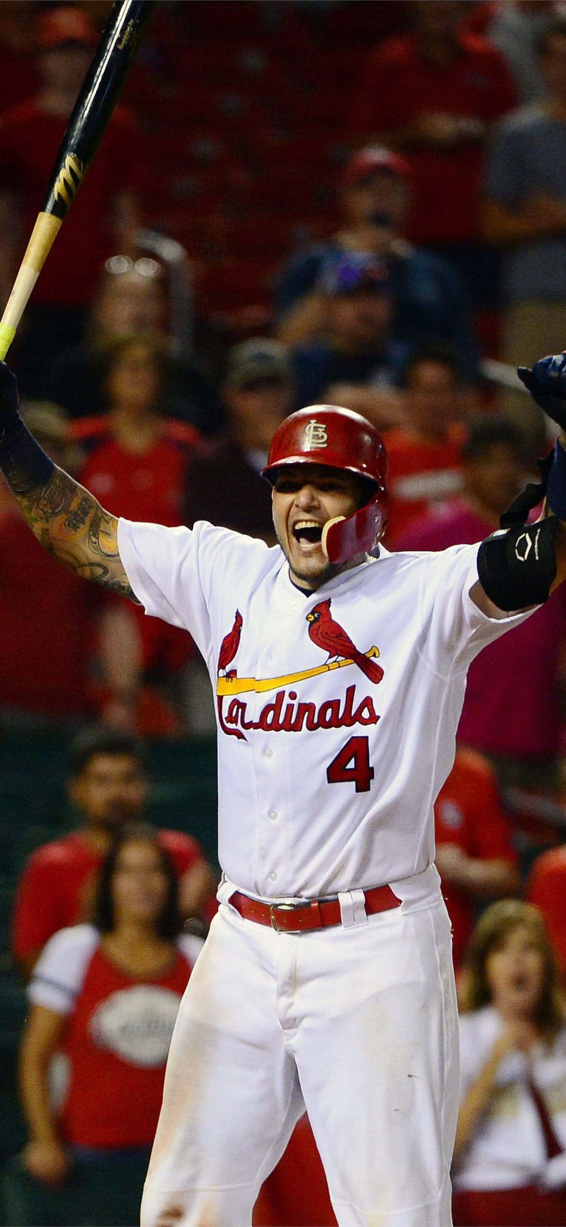 Yadier Molina 桌布 壁紙 — 一名身穿紅雀隊球衣的棒球選手在球場燈光下高舉球棒，勝利慶祝。