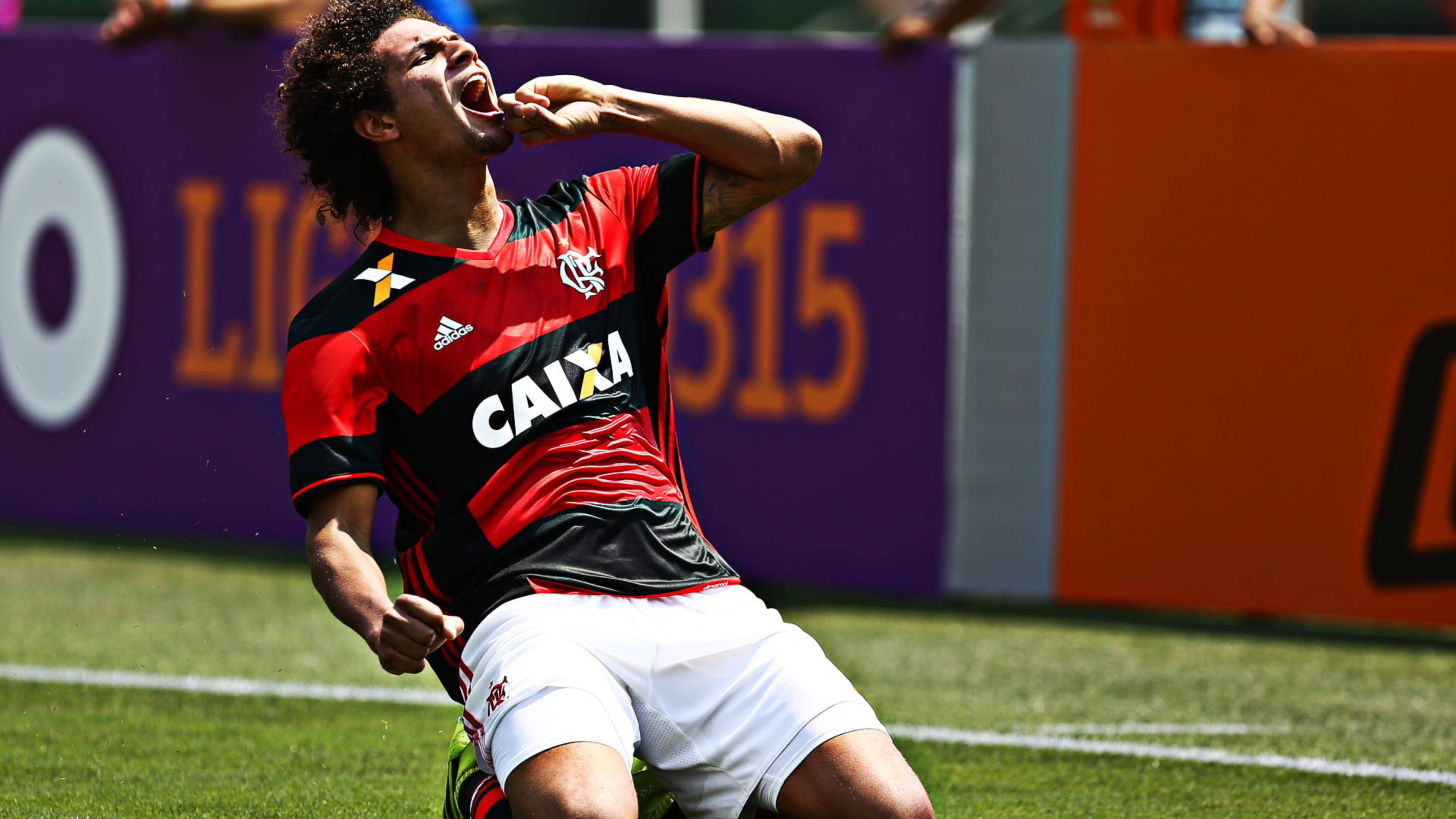 flamengo fc 桌布 壁紙 — 一名身穿紅黑球衣的足球運動員在陽光明媚的綠色球場上熱情慶祝，身後有體育館橫幅。