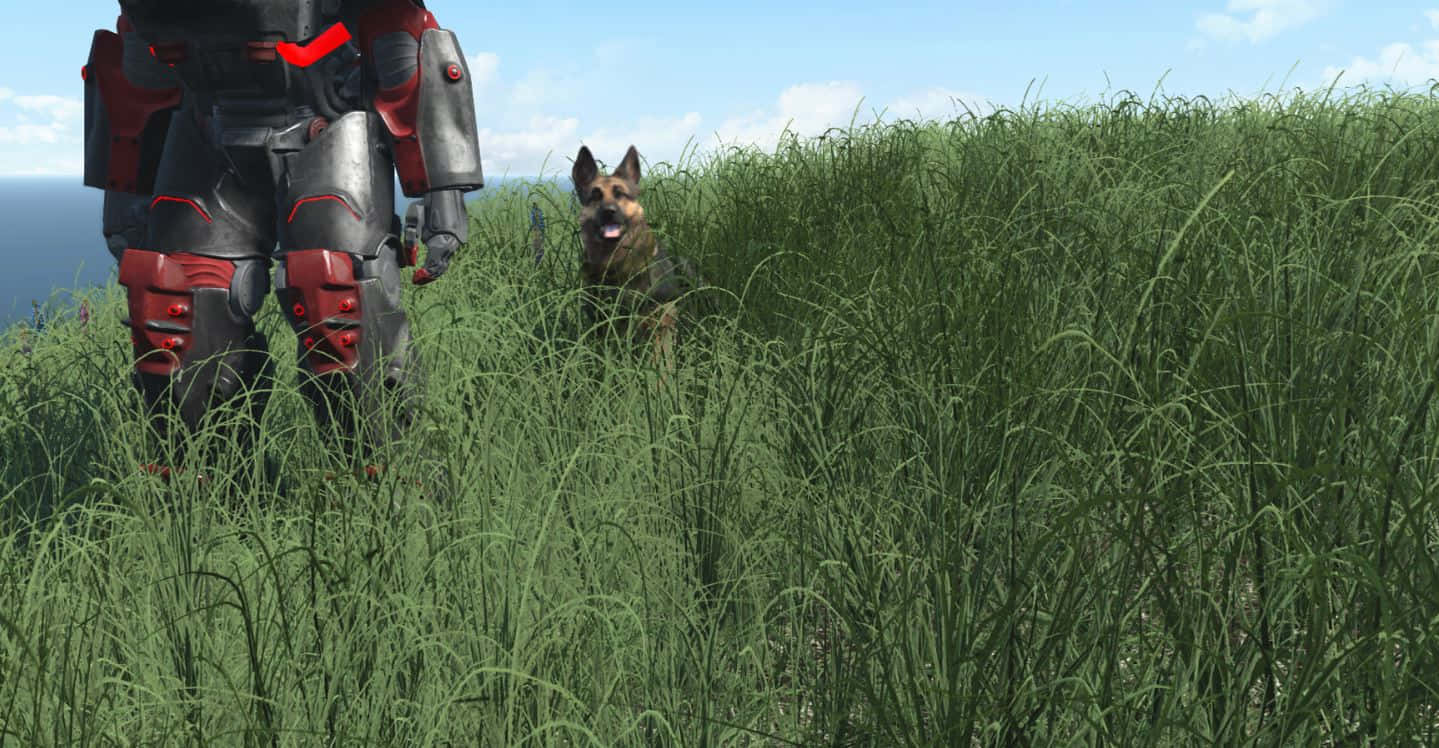 Fallout 4 Dogmeat 桌布 壁紙 — 一名身穿紅黑盔甲的士兵站在高高的綠草中，旁邊有一隻德國牧羊犬，頭頂是明亮的藍天。