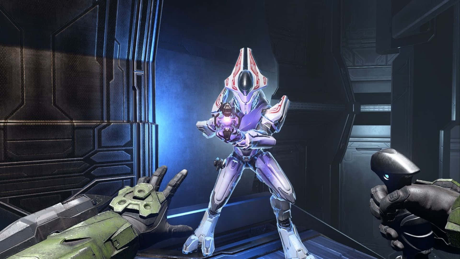 Sangheili 桌布 壁紙 — 一名身穿紫色和白色盔甲的未来士兵站在昏暗的科幻走廊中，手持發光武器。