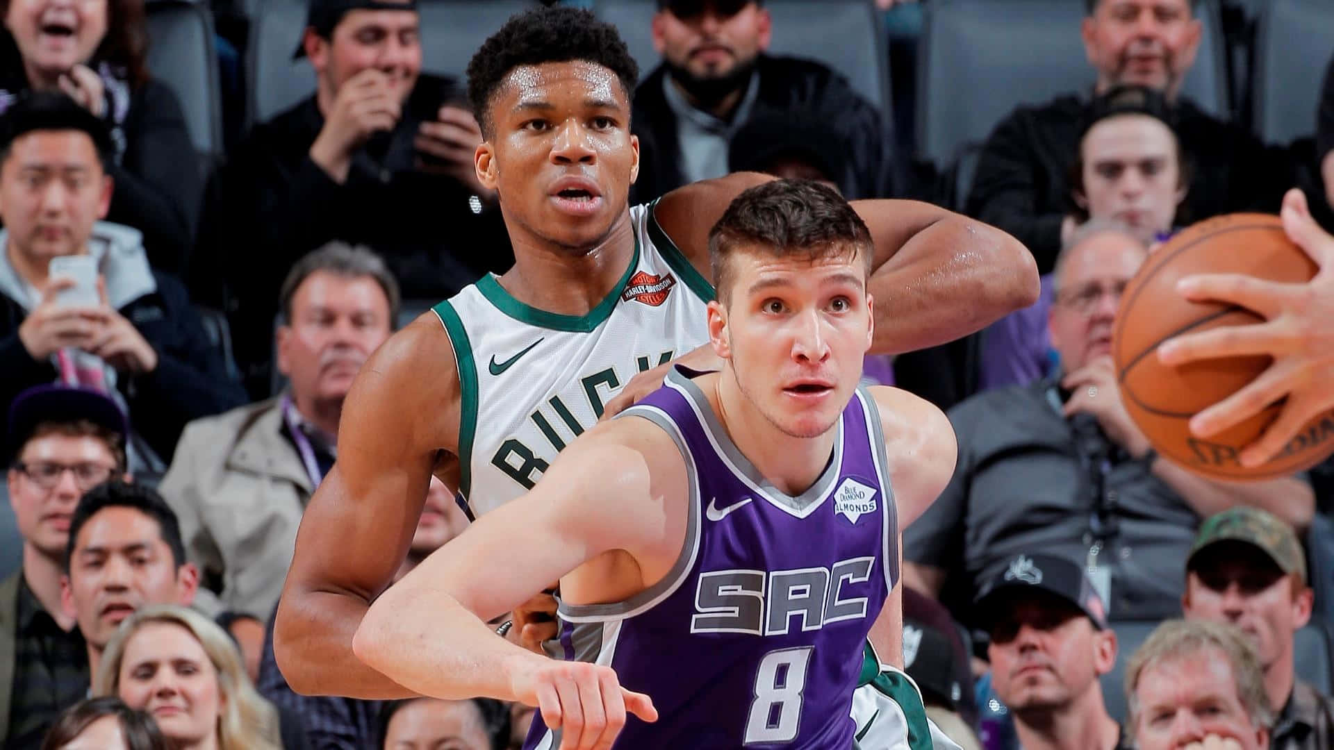 NBA 桌布 壁紙 — 一名身穿紫色沙加緬度國王隊球衣的籃球運動員在激烈的比賽中運球，同時被一名身穿綠色和白色球衣的密爾瓦基公鹿隊球員緊密防守。
