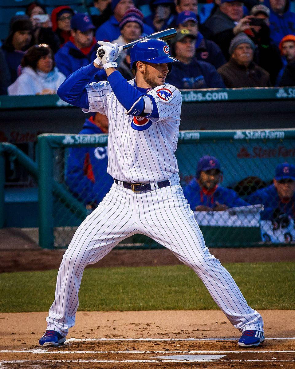 MLB 桌布 壁紙 — 一名身穿細條紋球衣的芝加哥小熊隊棒球選手在本壘板揮棒，球場觀眾正在觀看。