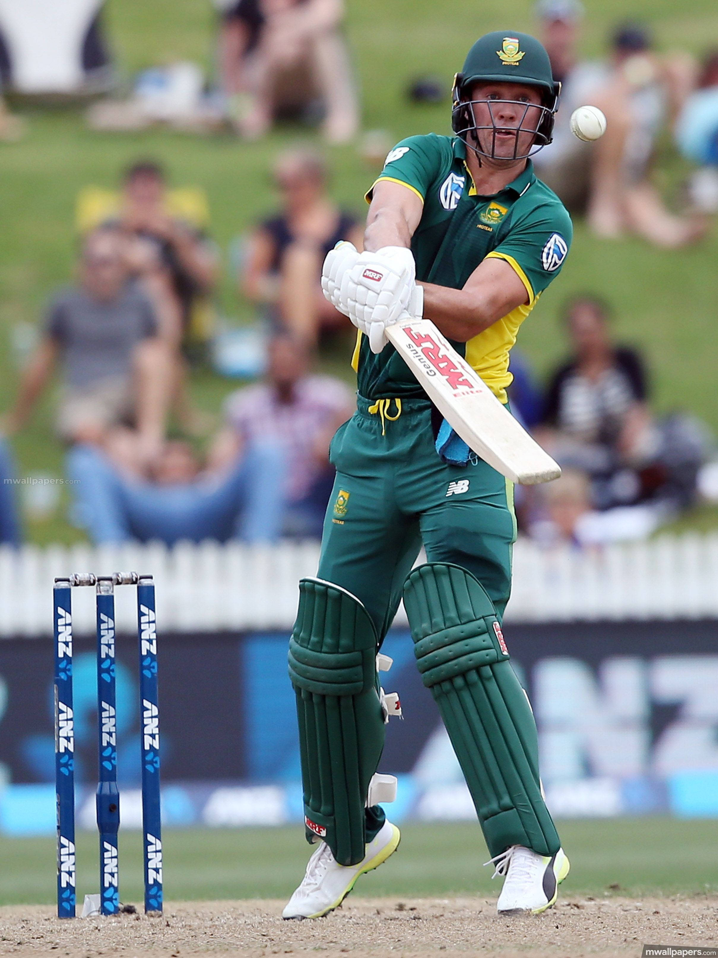 south africa cricket 桌布 壁紙 — 一名身穿綠色和黃色球衣的板球擊球手在日間比賽中揮動球棒擊打白色球，背景有觀眾。